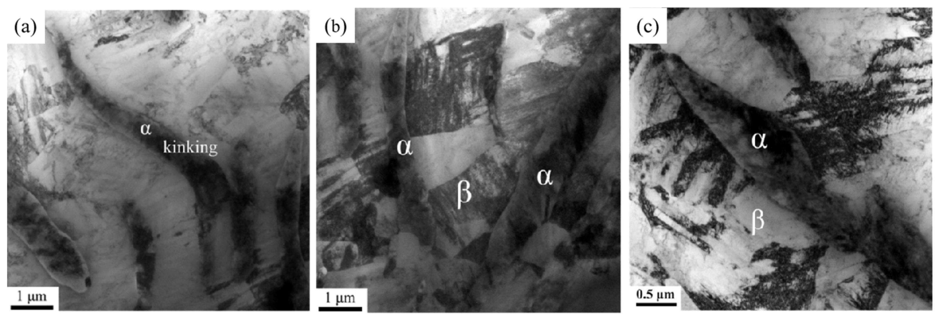 Coatings 14 00148 g004