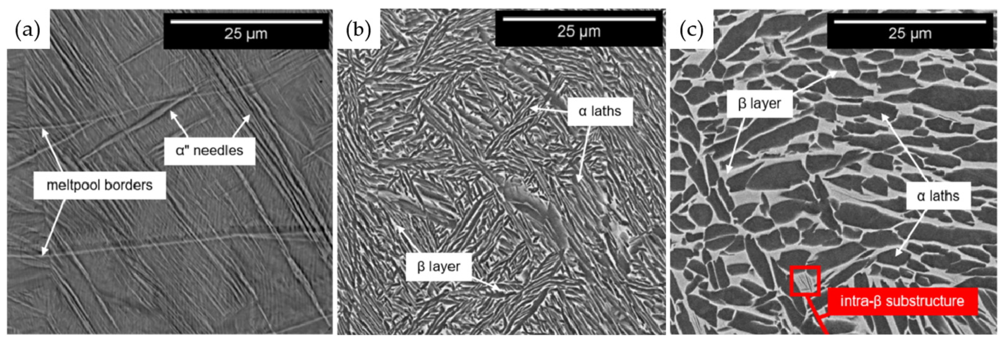 Coatings 14 00148 g007