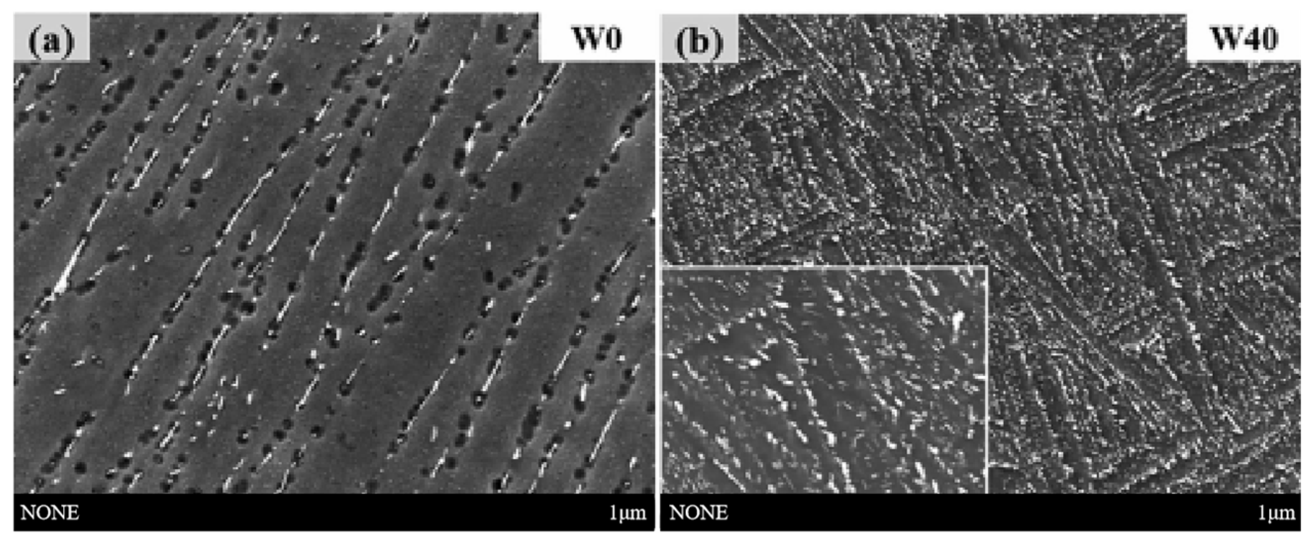 Coatings 14 00148 g010