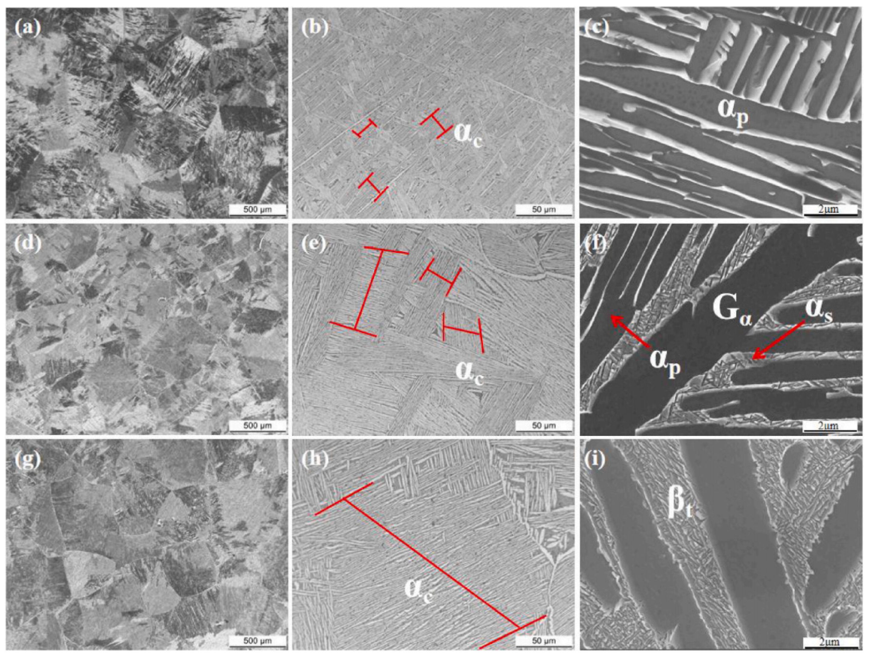 Coatings 14 00148 g012