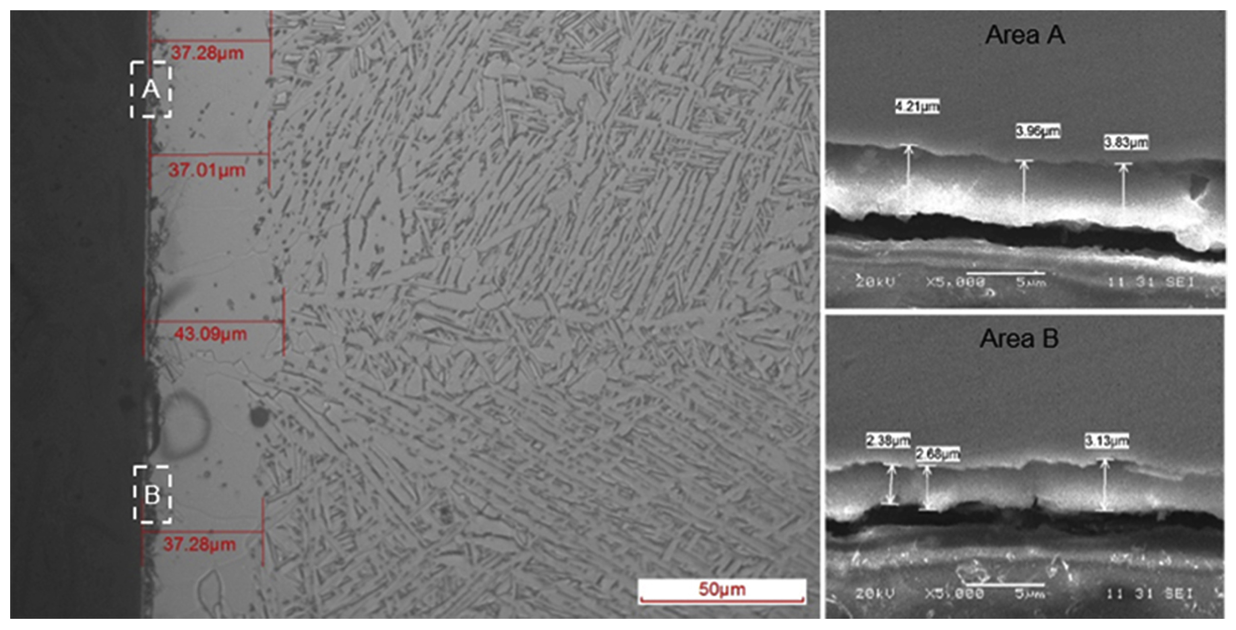 Coatings 14 00148 g027