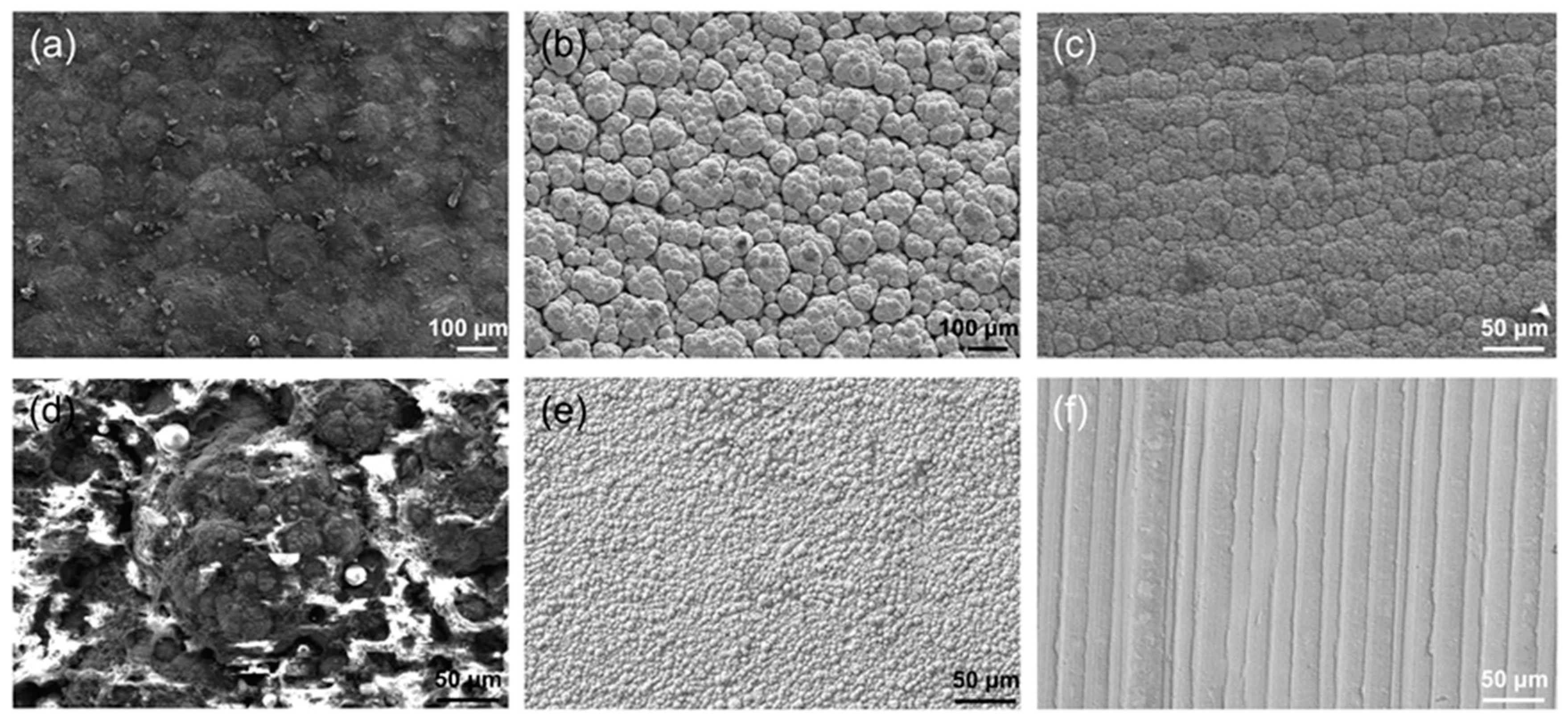 Coatings 14 00150 g003