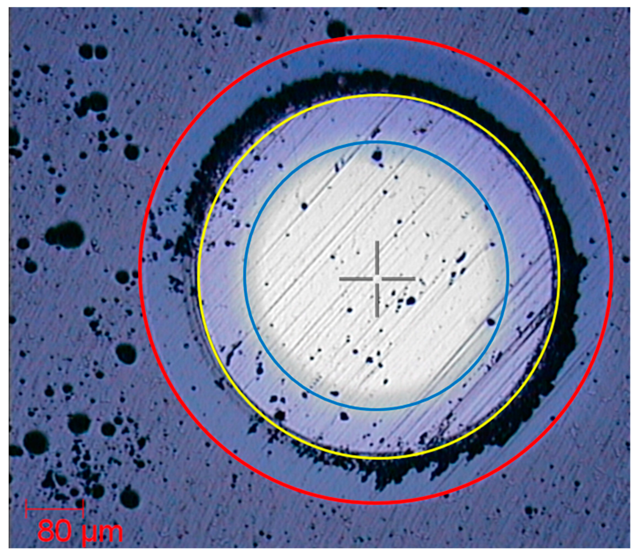 Coatings 14 00159 g005