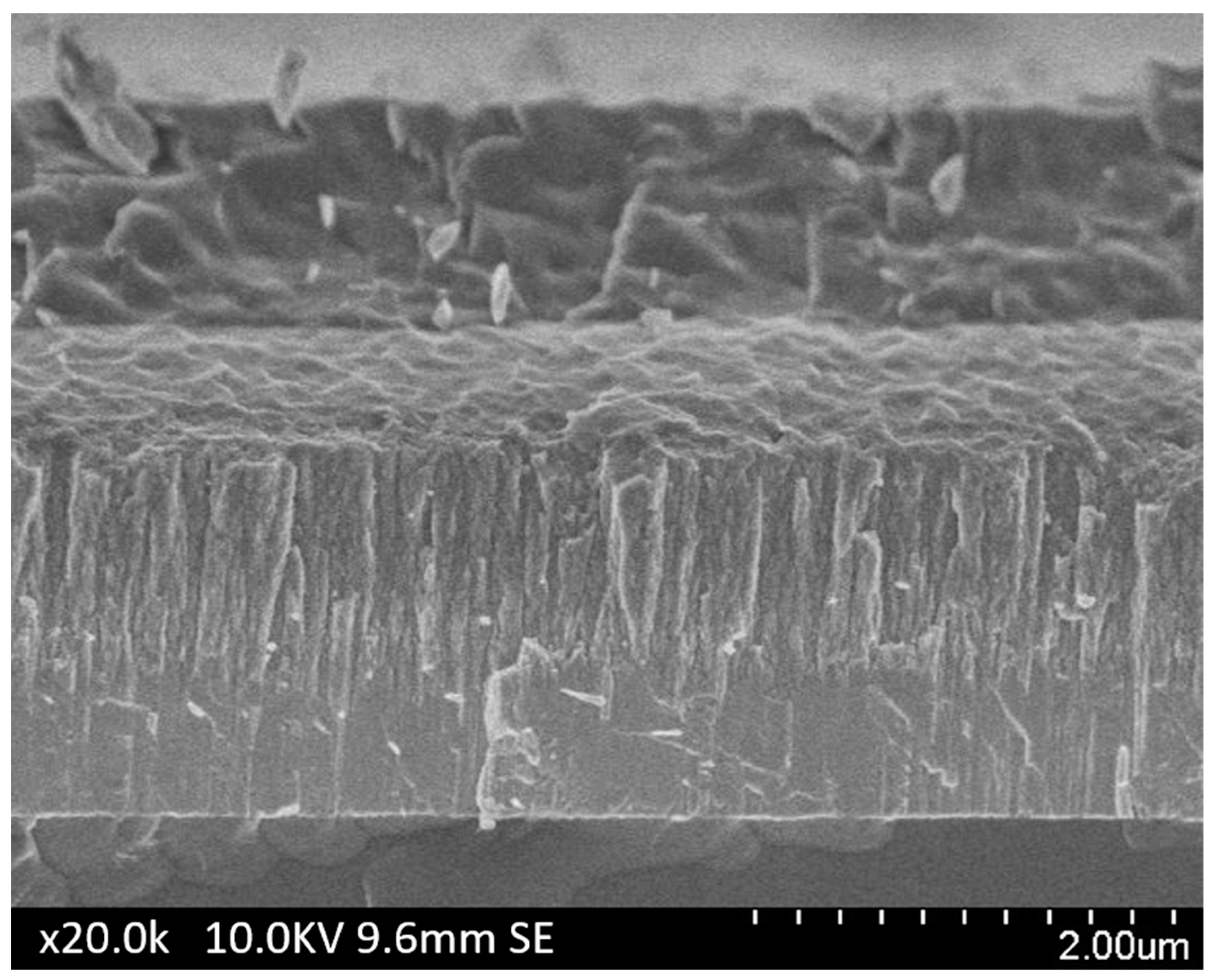 Coatings 14 00159 g006