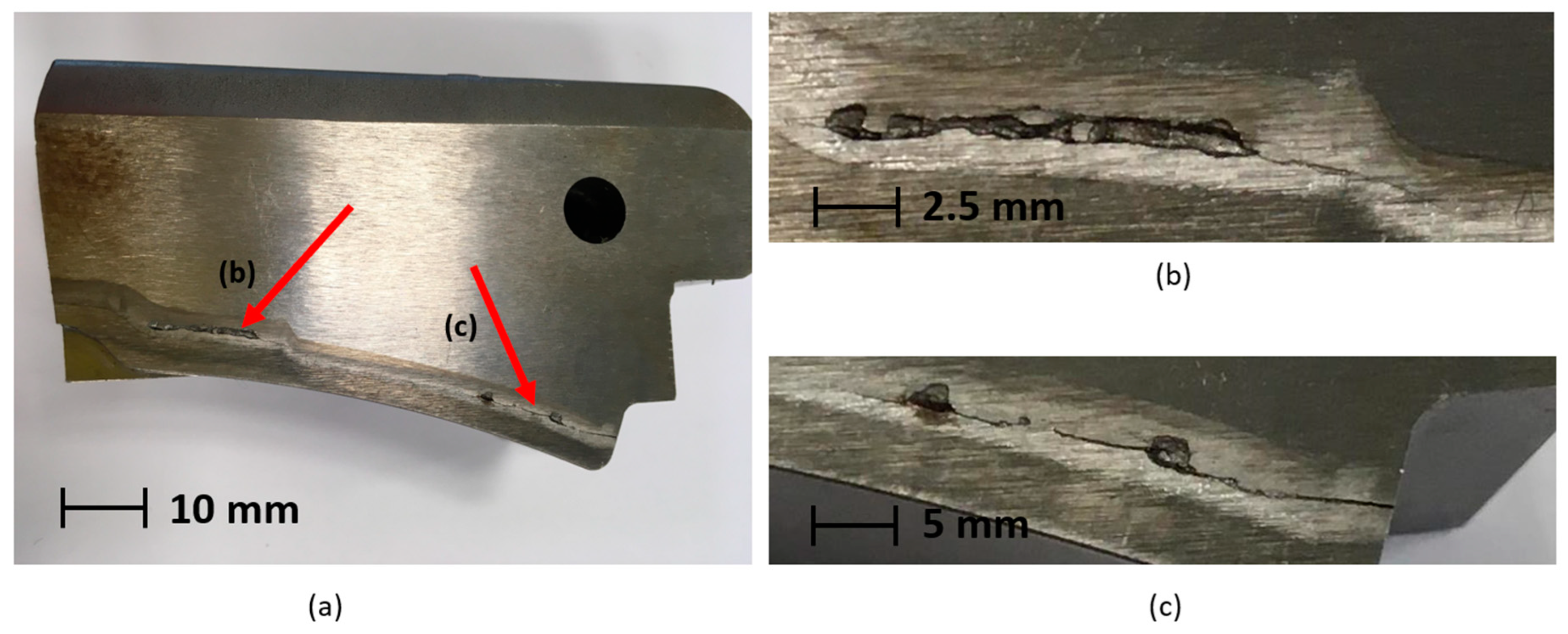 Coatings 14 00159 g017
