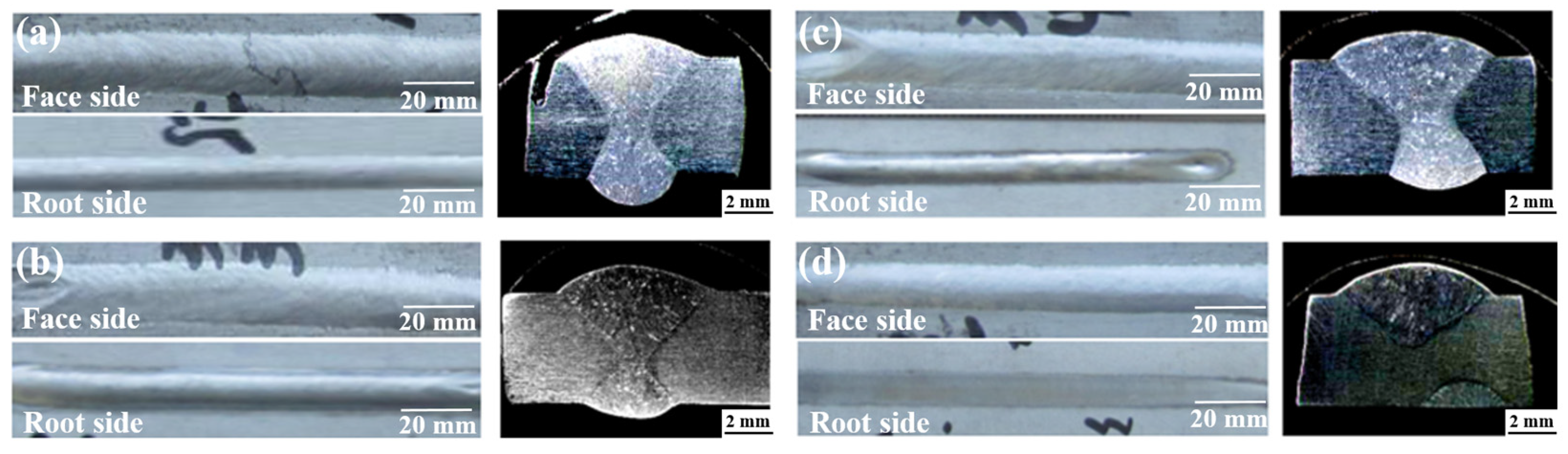 Coatings 14 00161 g005