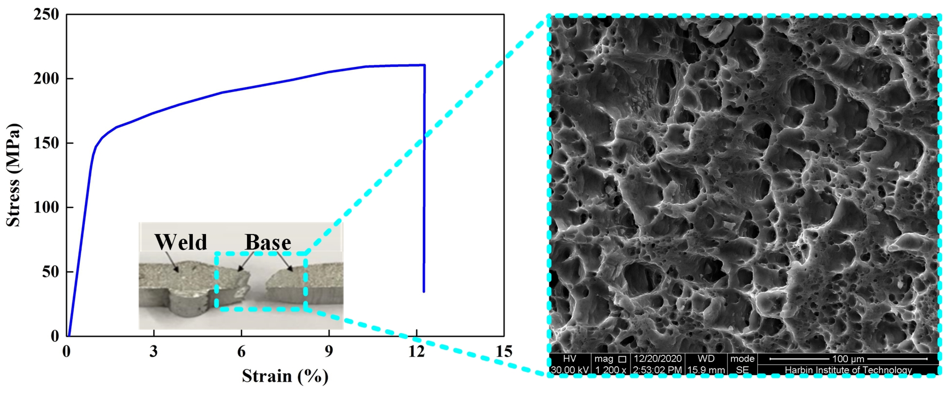 Coatings 14 00161 g015