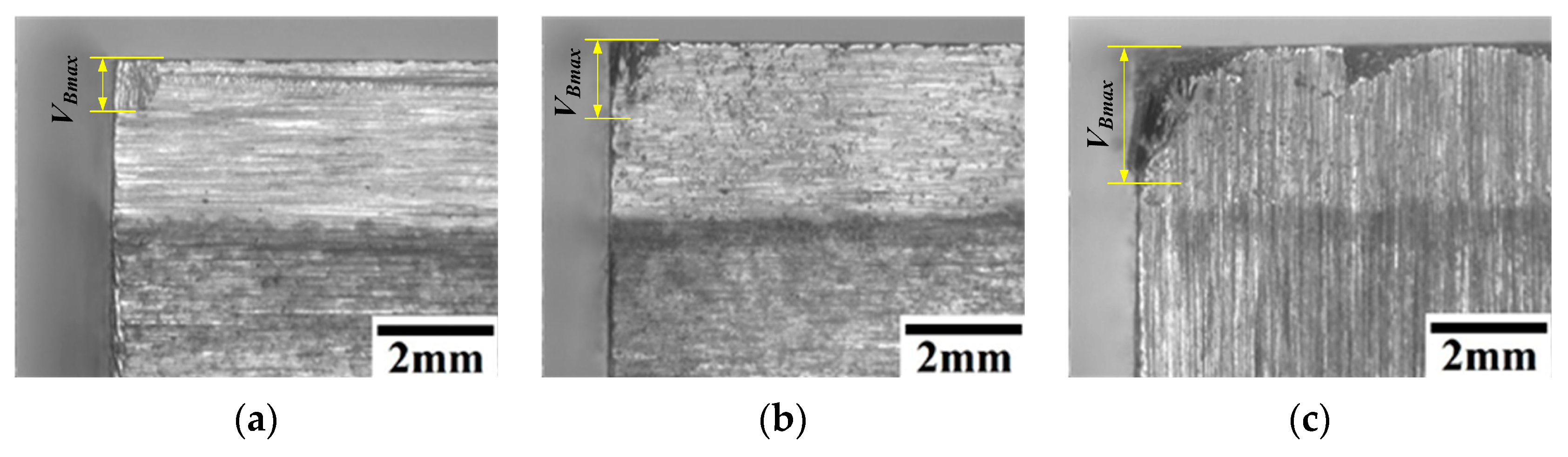 Coatings 14 00167 g008