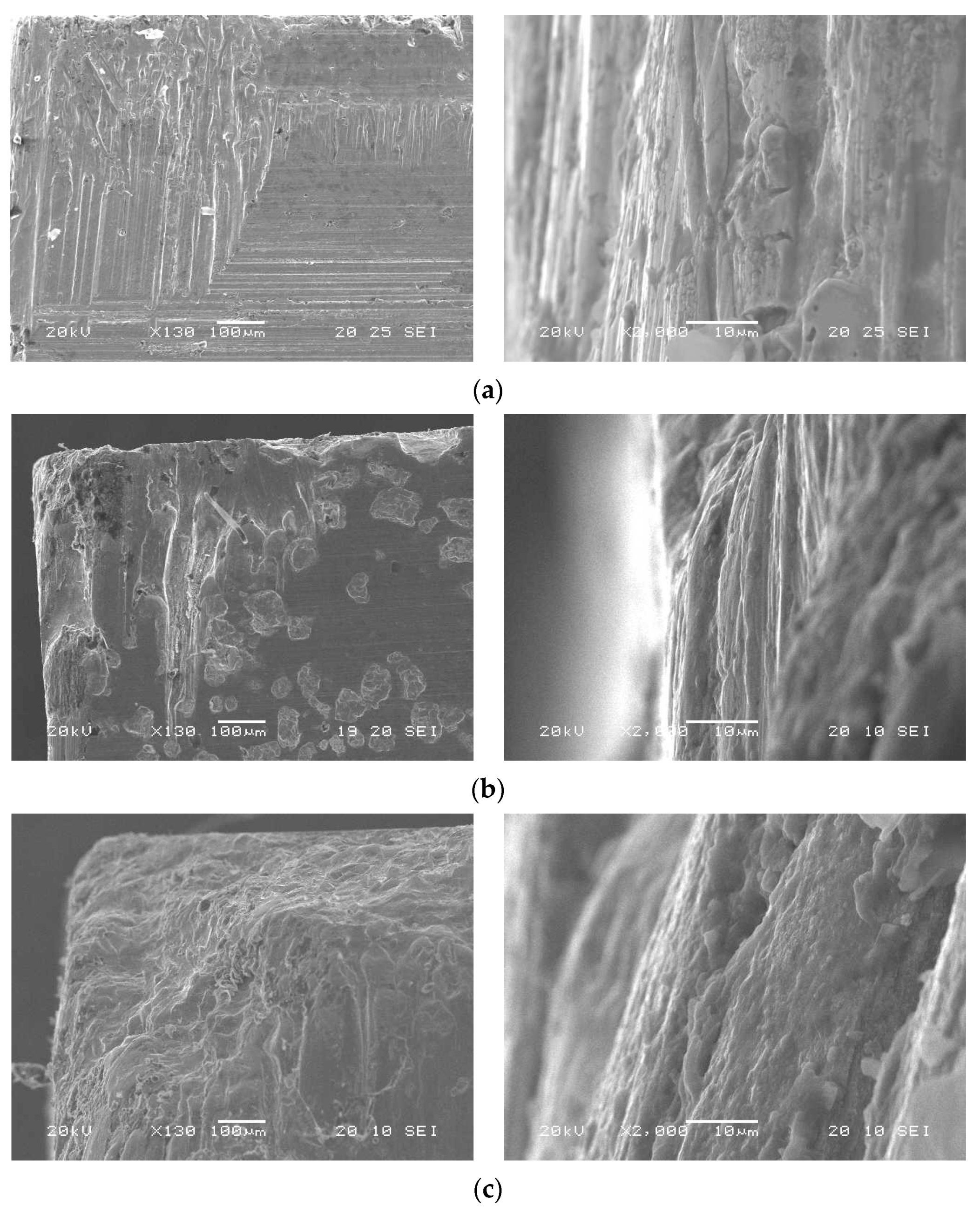Coatings 14 00167 g011