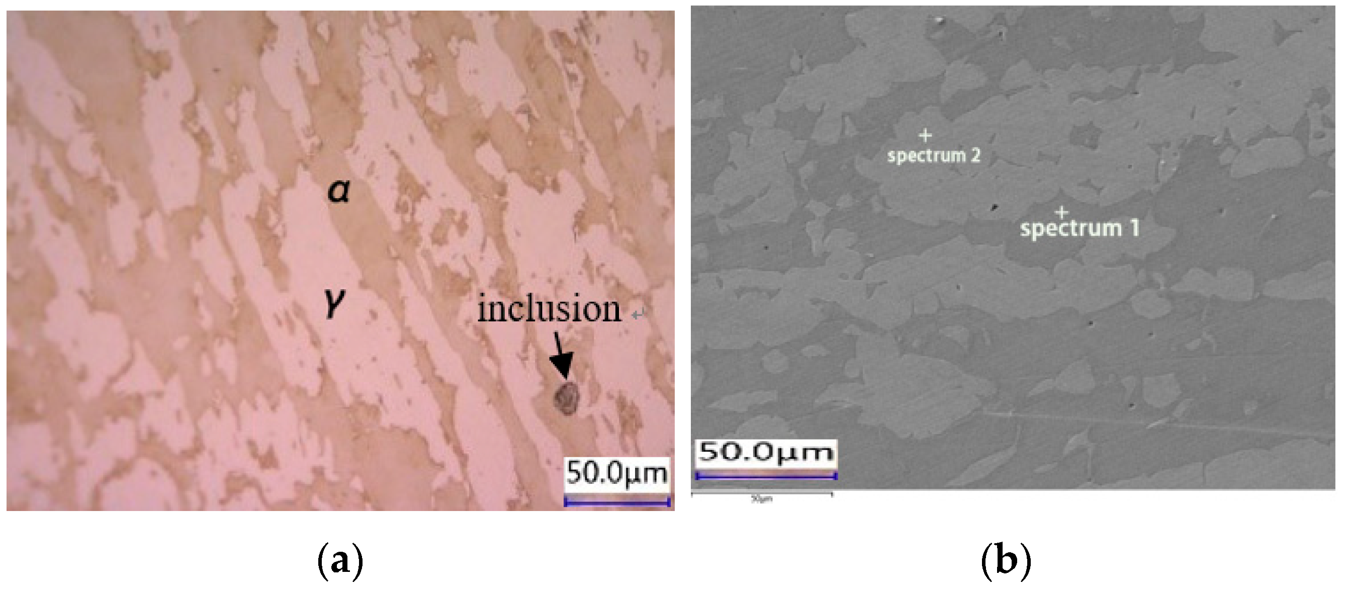 Coatings 14 00174 g001