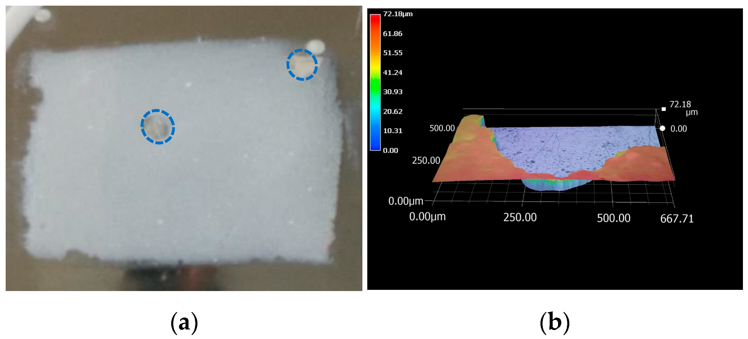 Coatings 14 00174 g007