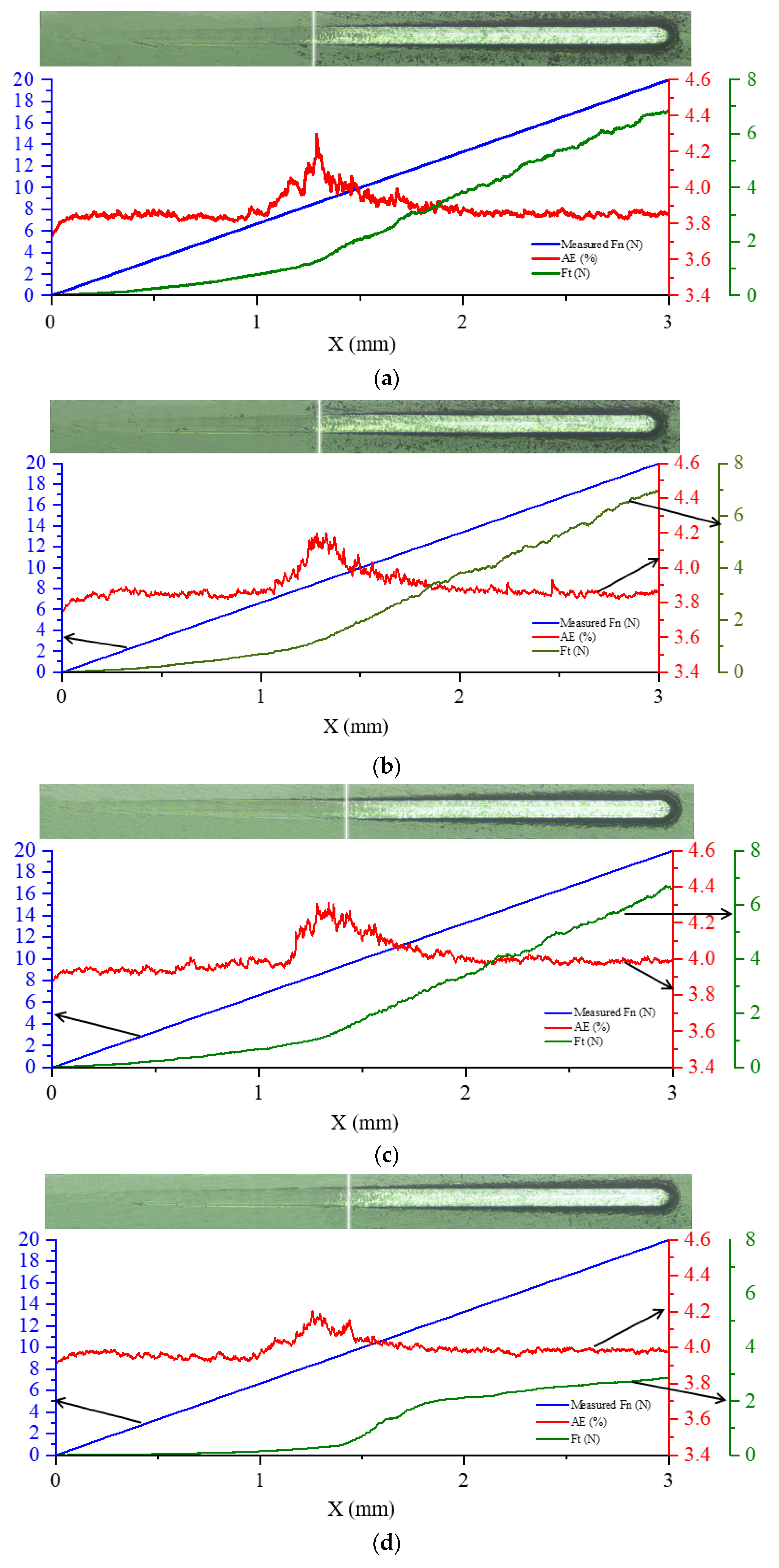 Coatings 14 00176 g007