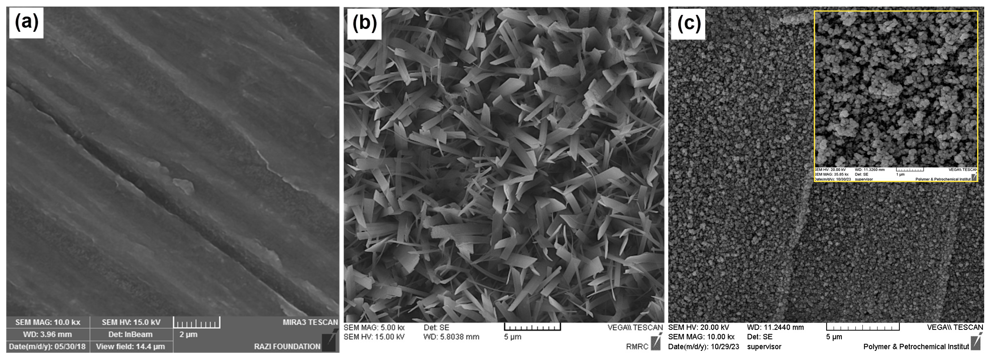 Coatings 14 00179 g002