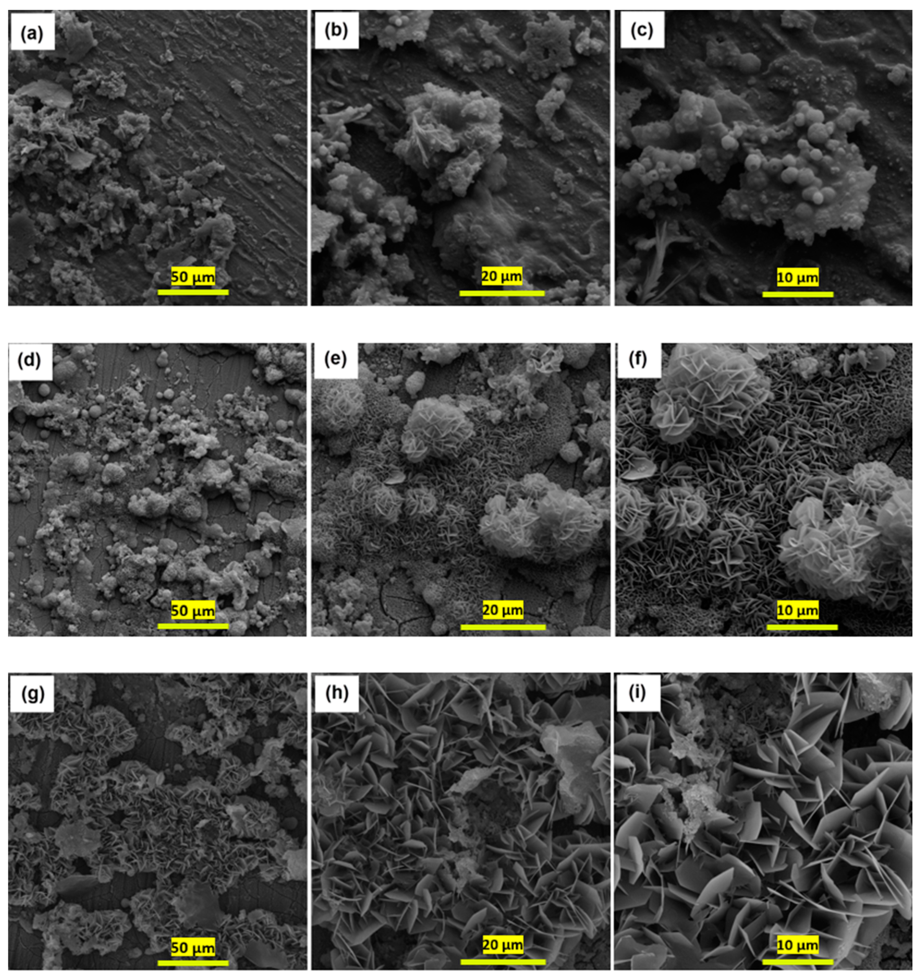 Coatings 14 00179 g004