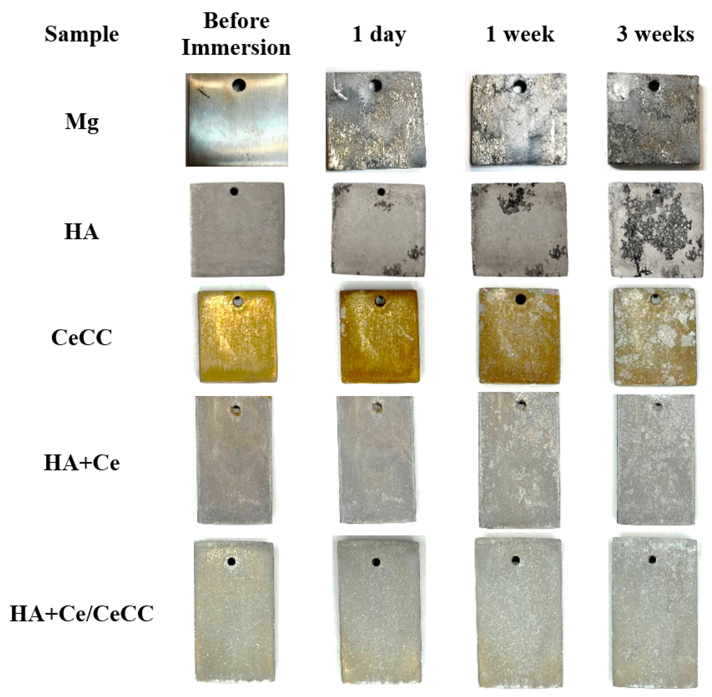 Coatings 14 00179 g009