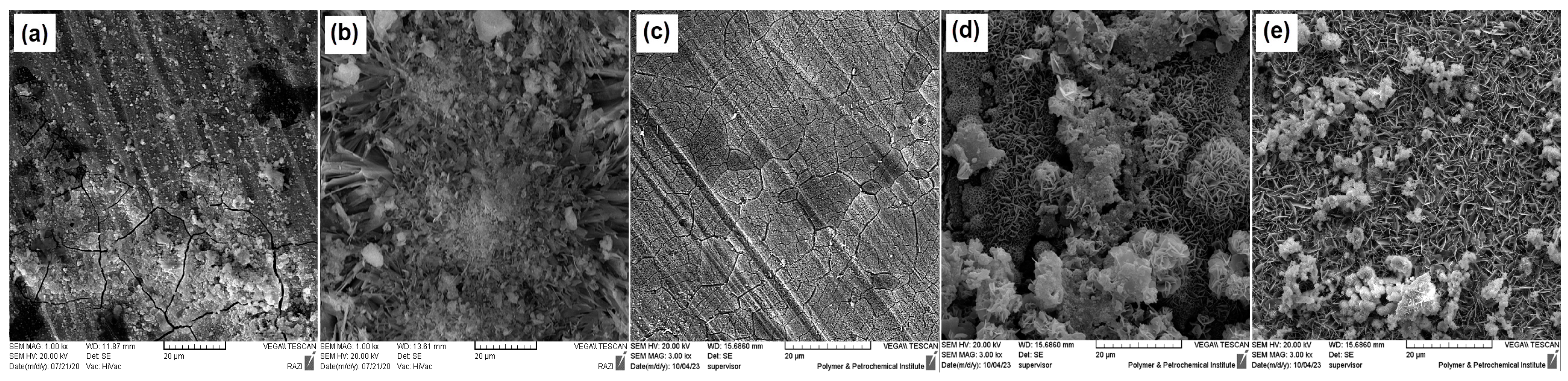 Coatings 14 00179 g011