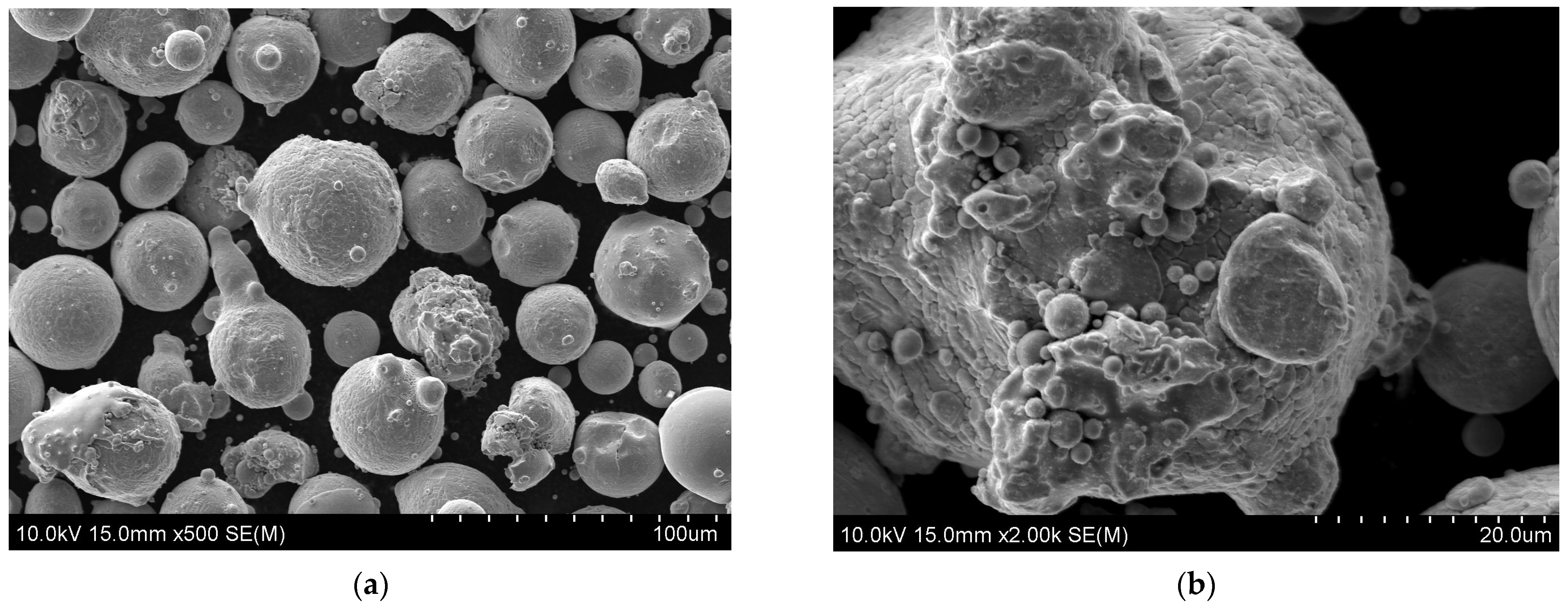 Coatings 14 00186 g001