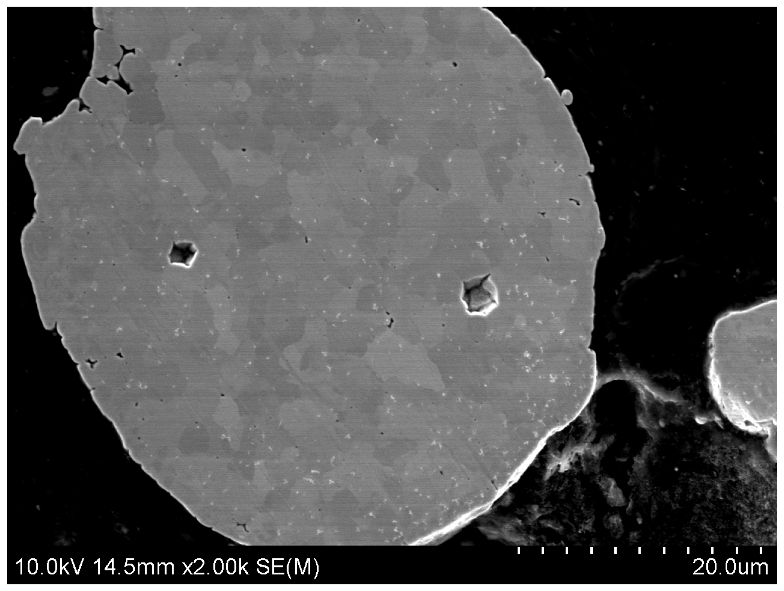 Coatings 14 00186 g002