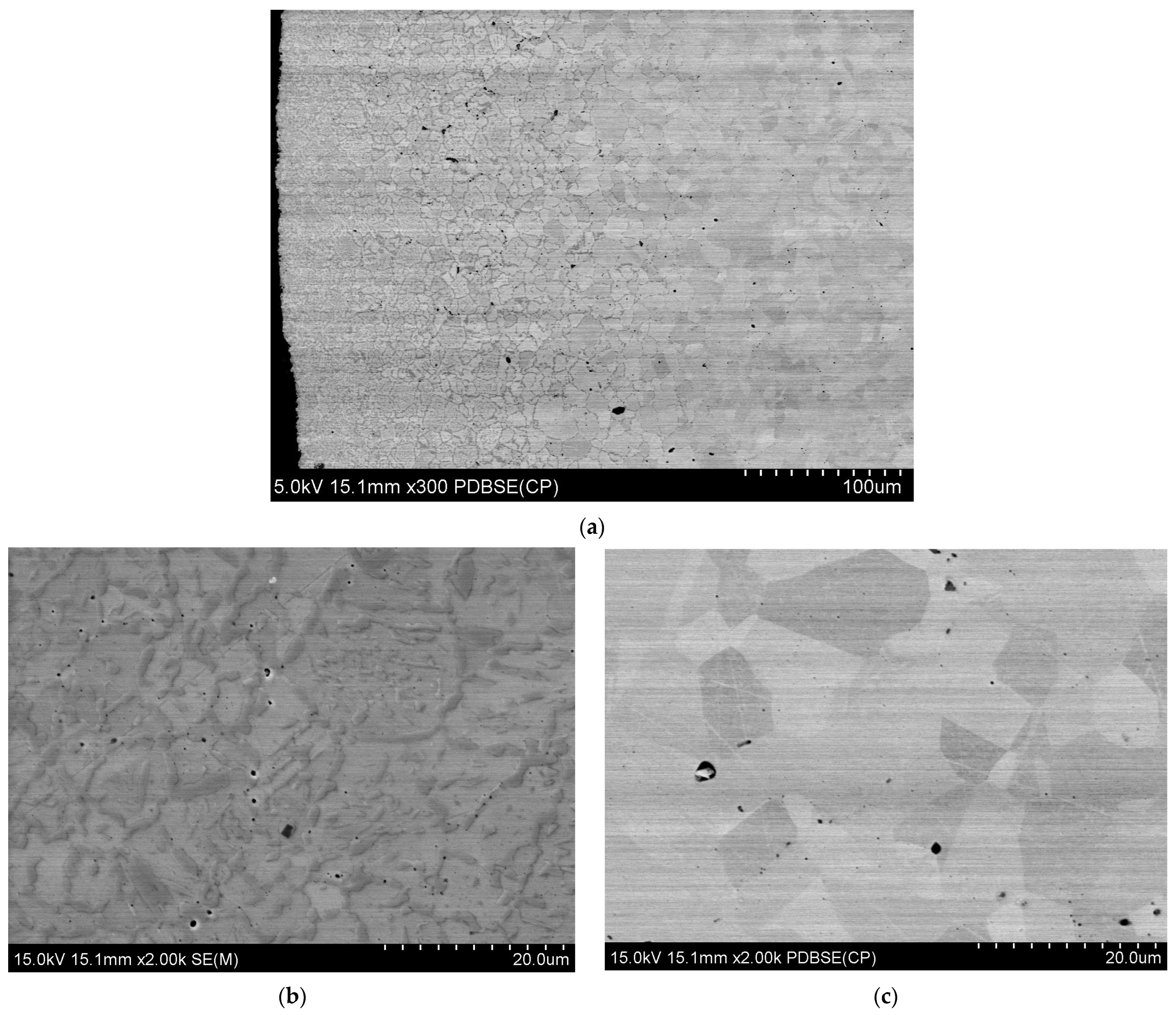 Coatings 14 00186 g004