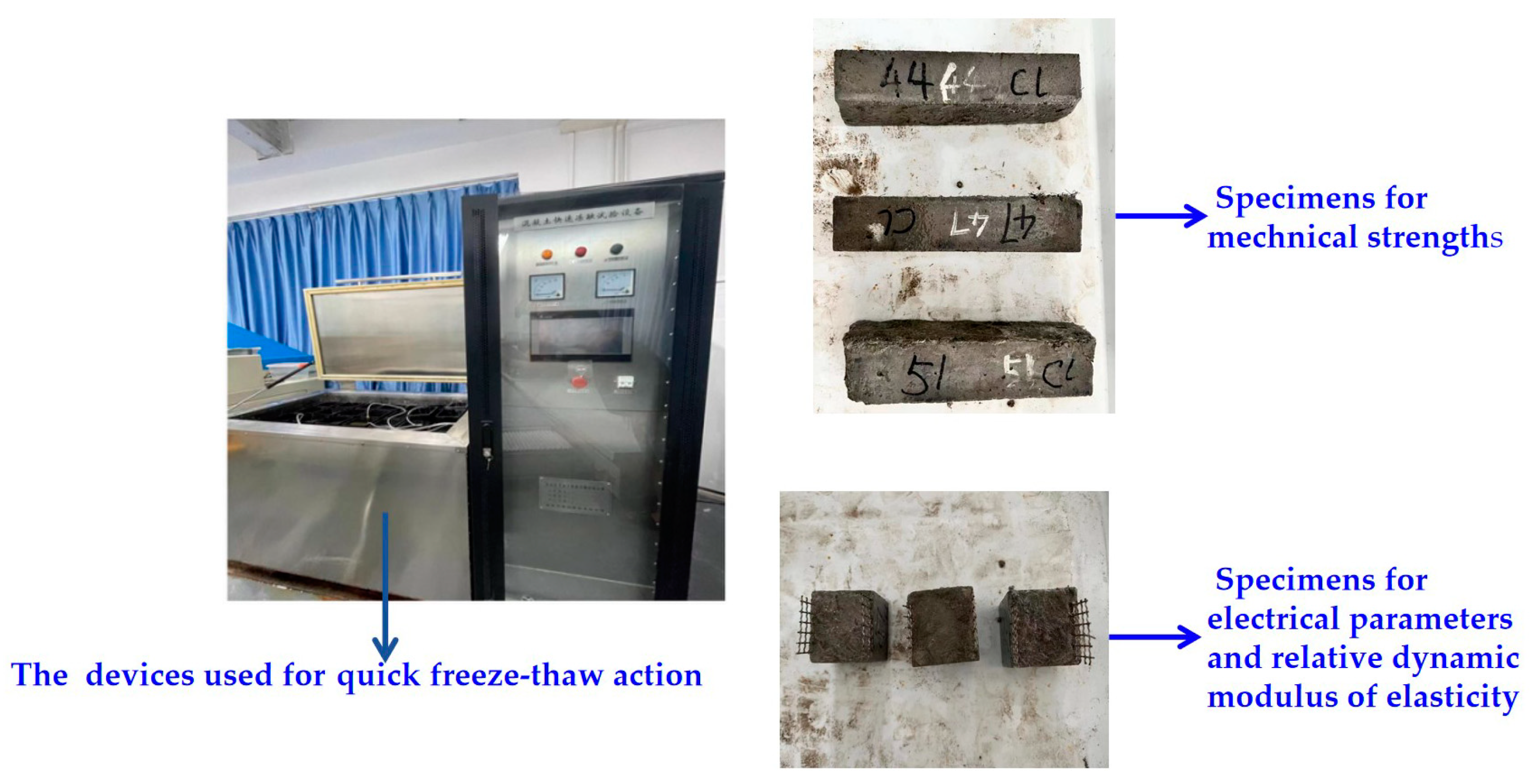 Coatings 14 00189 g001