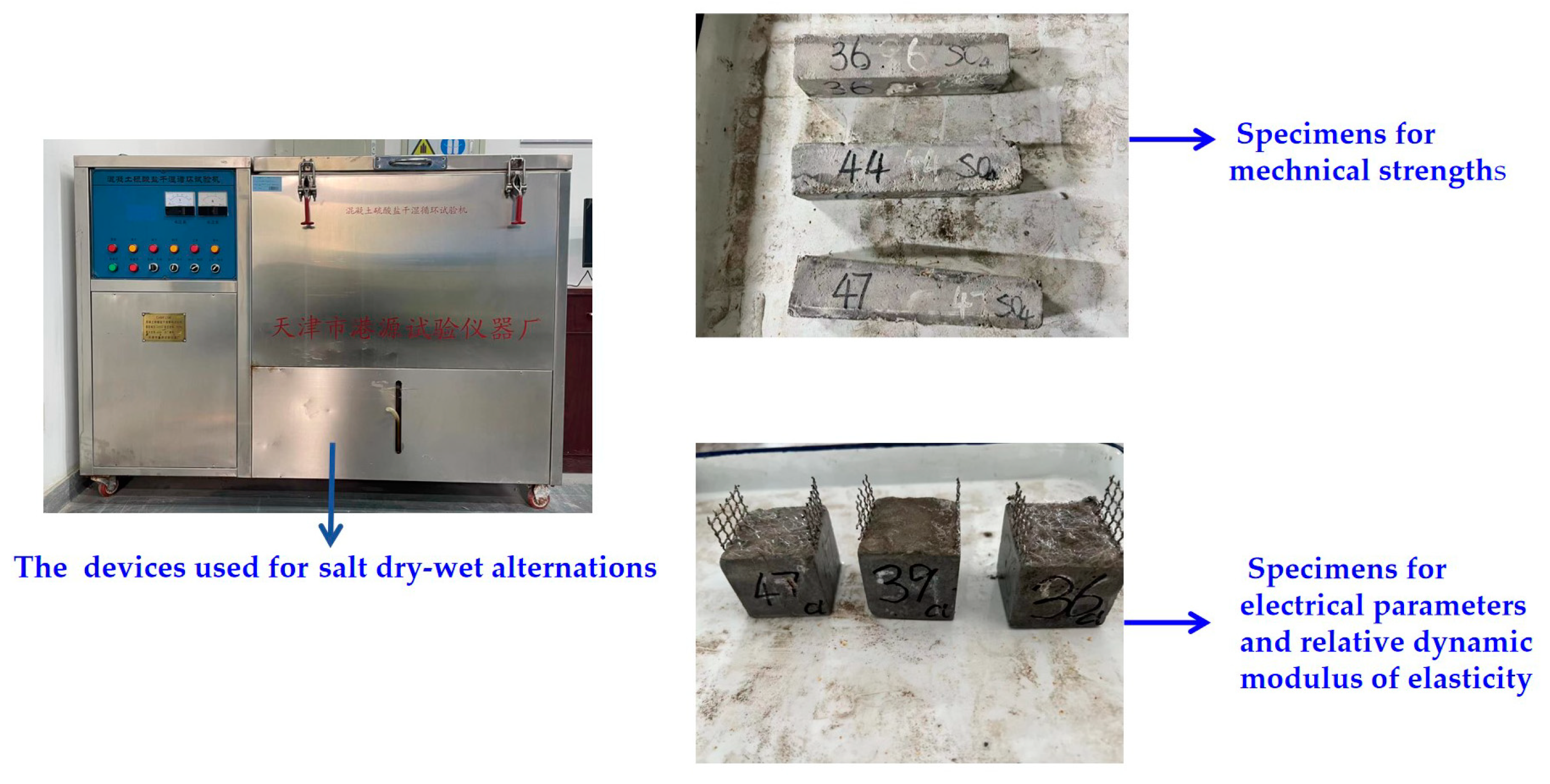 Coatings 14 00189 g002