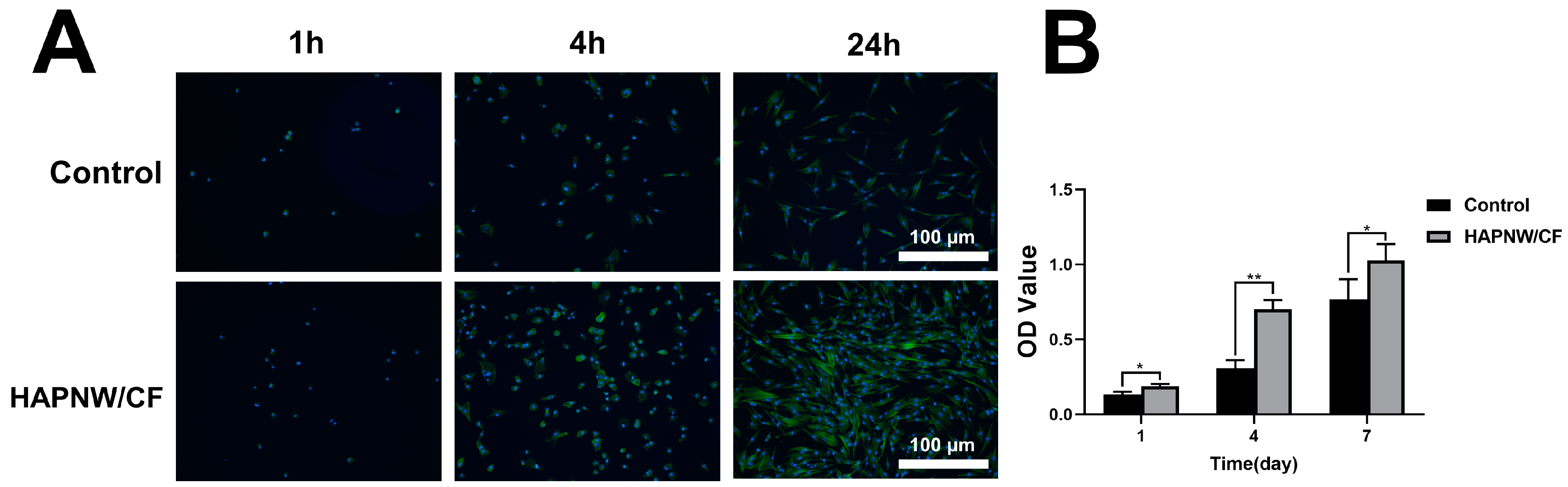 Coatings 14 00190 g004