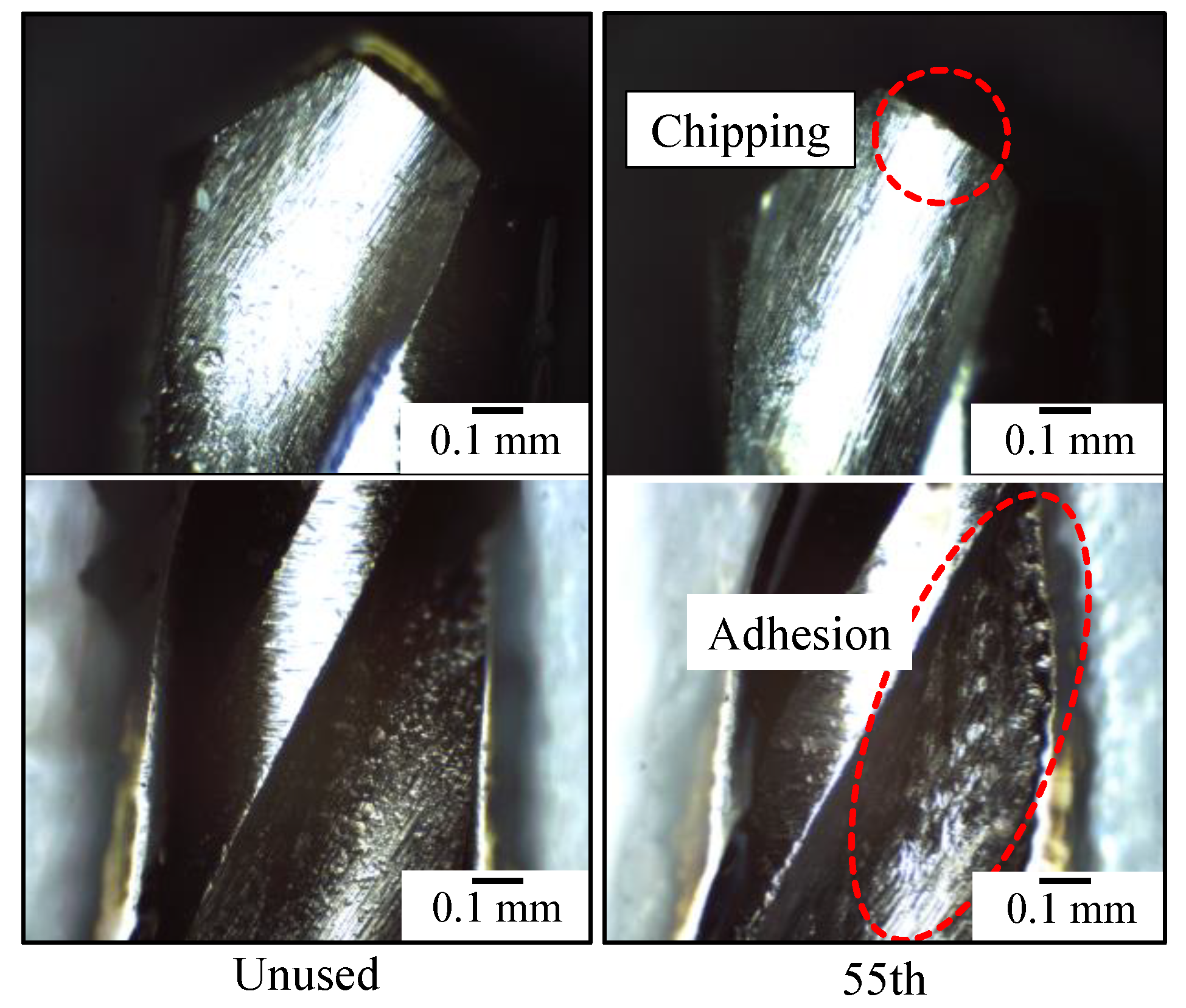 Coatings 14 00193 g004