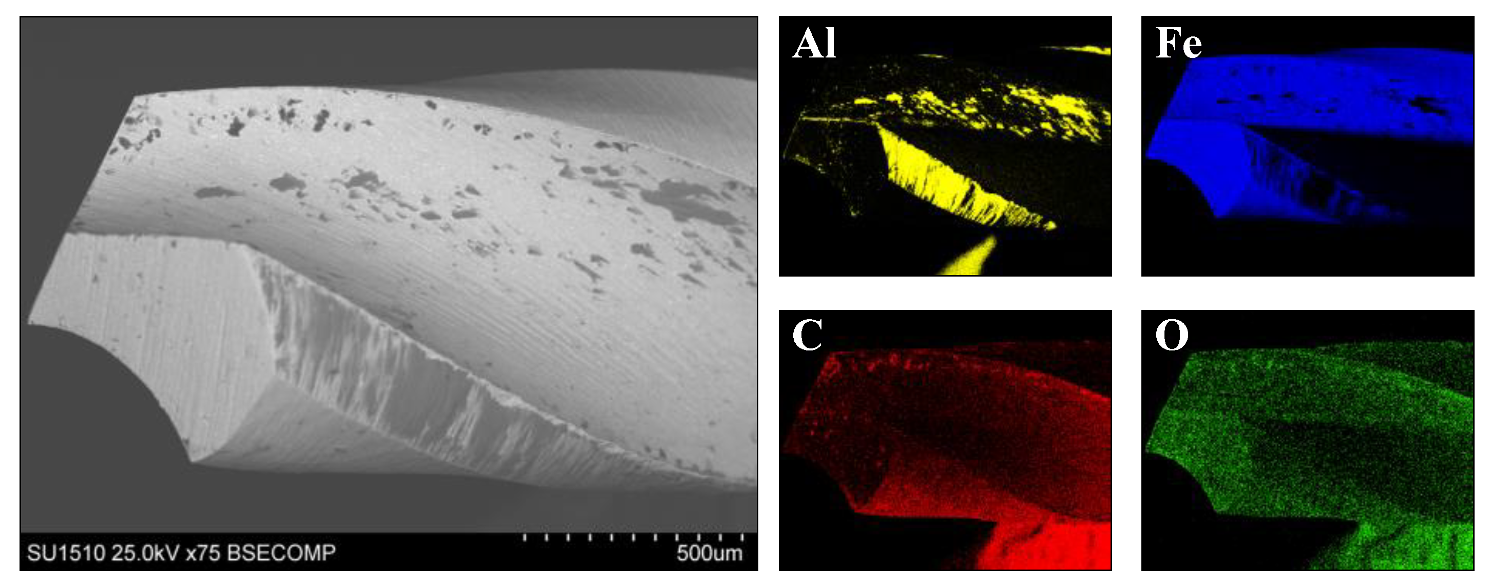 Coatings 14 00193 g007
