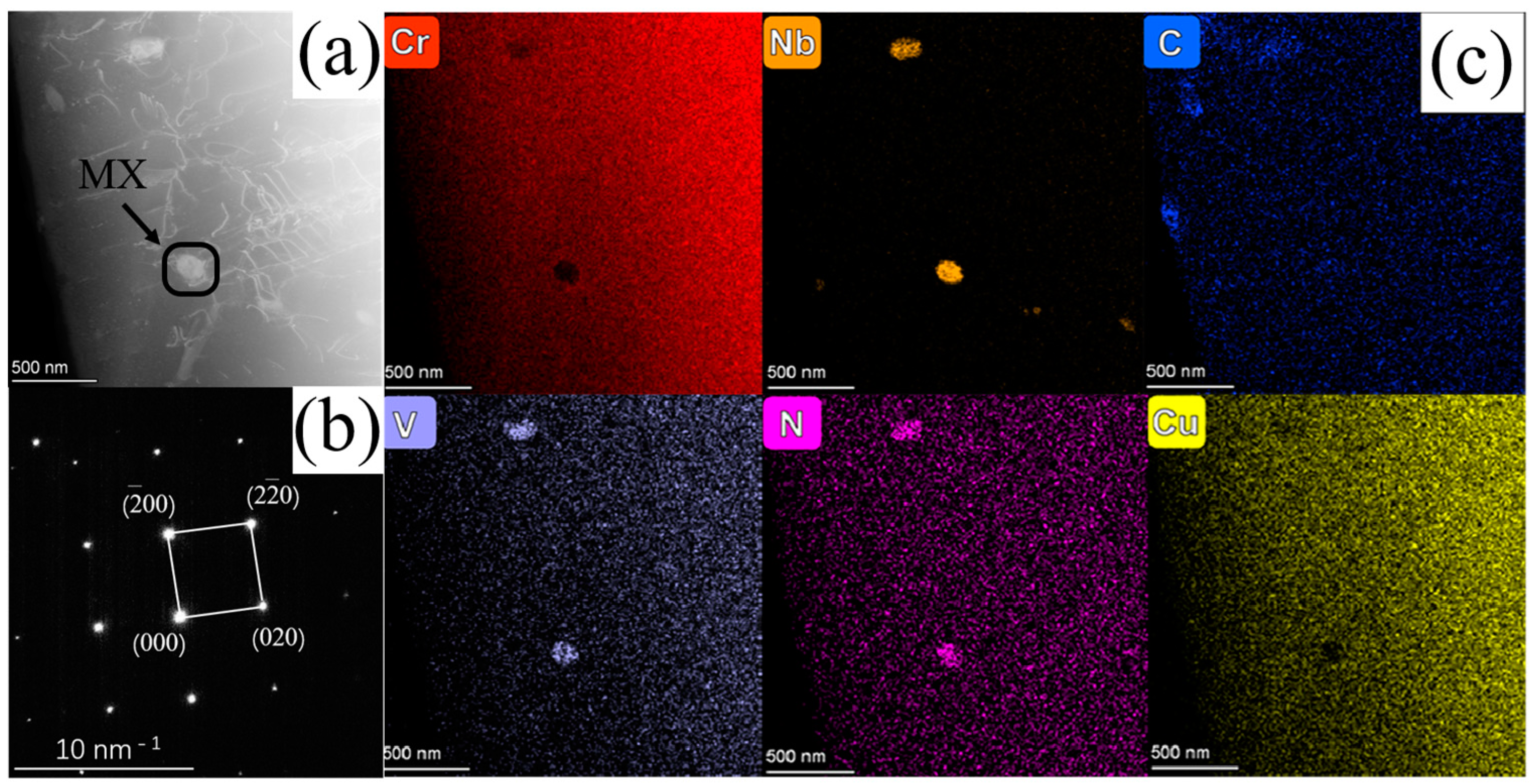 Coatings 14 00194 g002