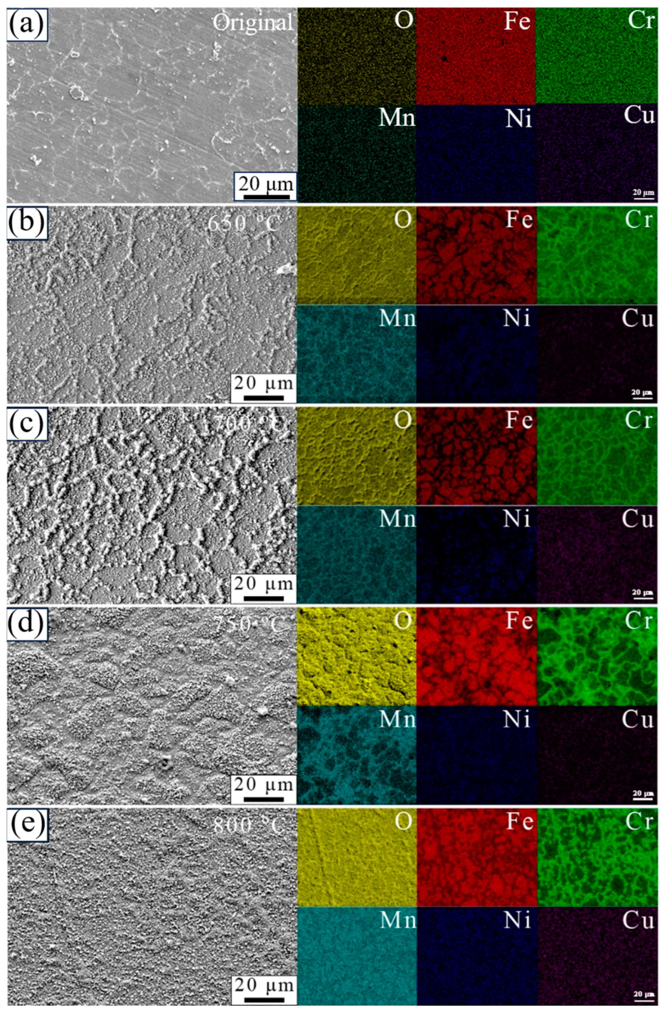 Coatings 14 00194 g005