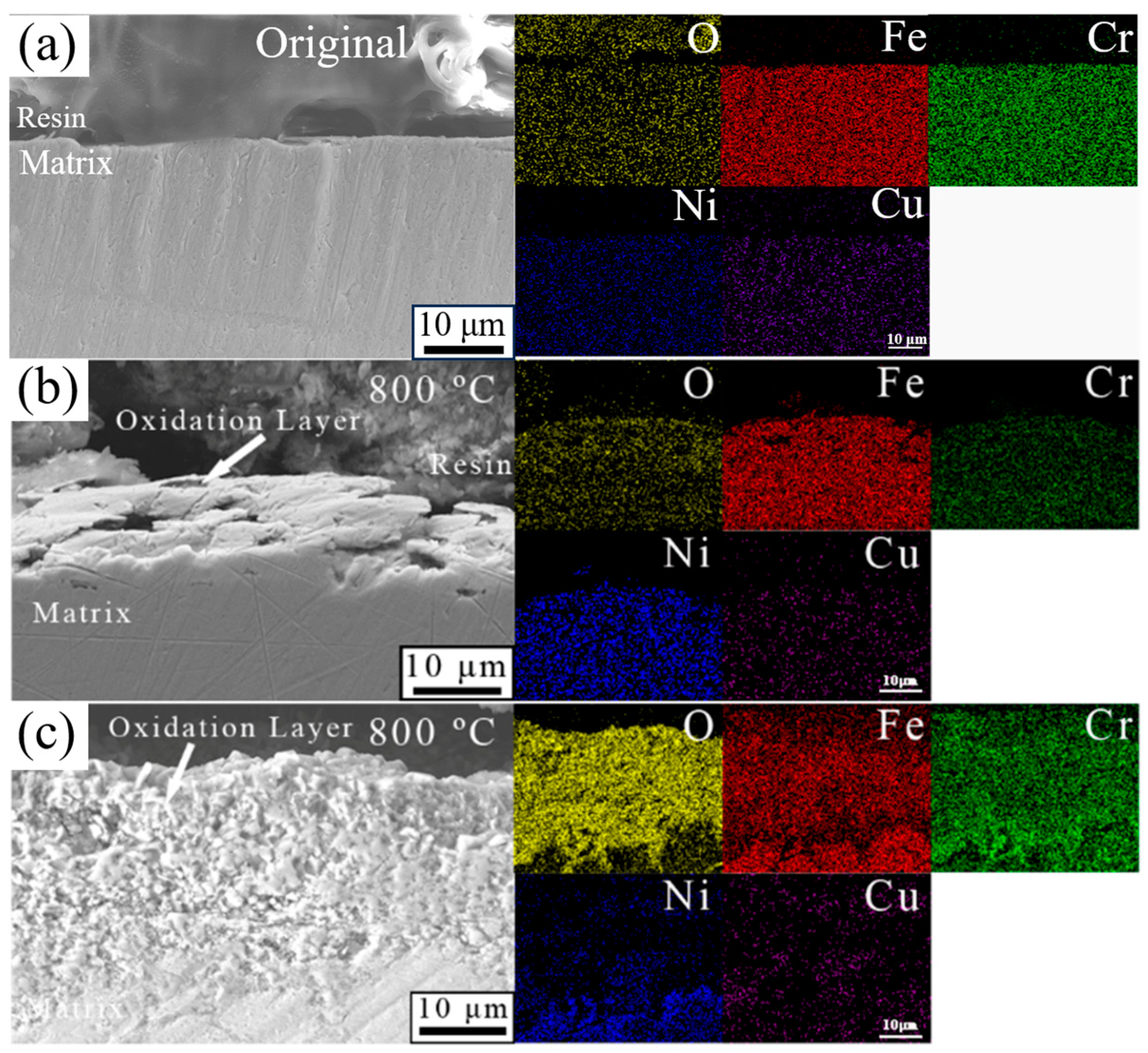 Coatings 14 00194 g009