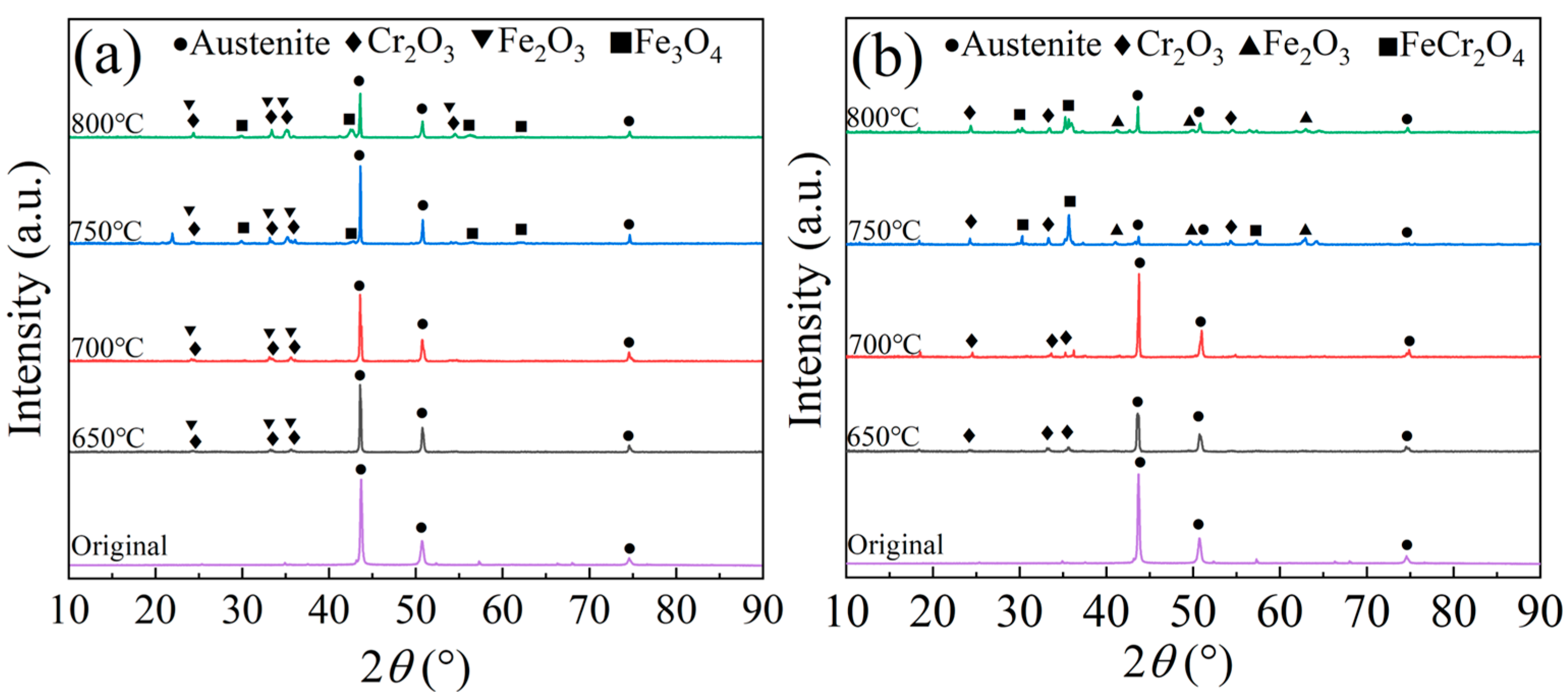 Coatings 14 00194 g010