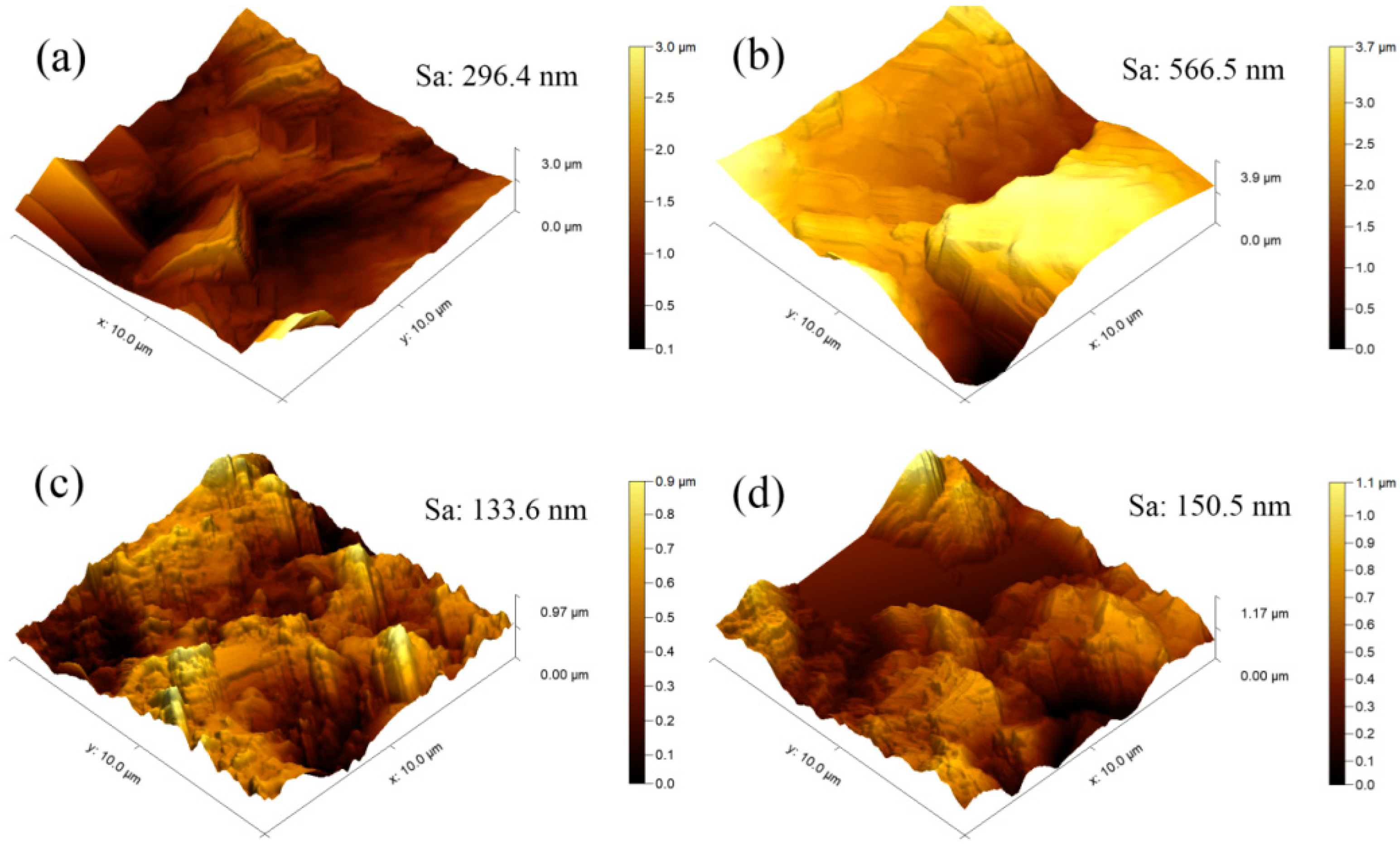 Coatings 14 00194 g012