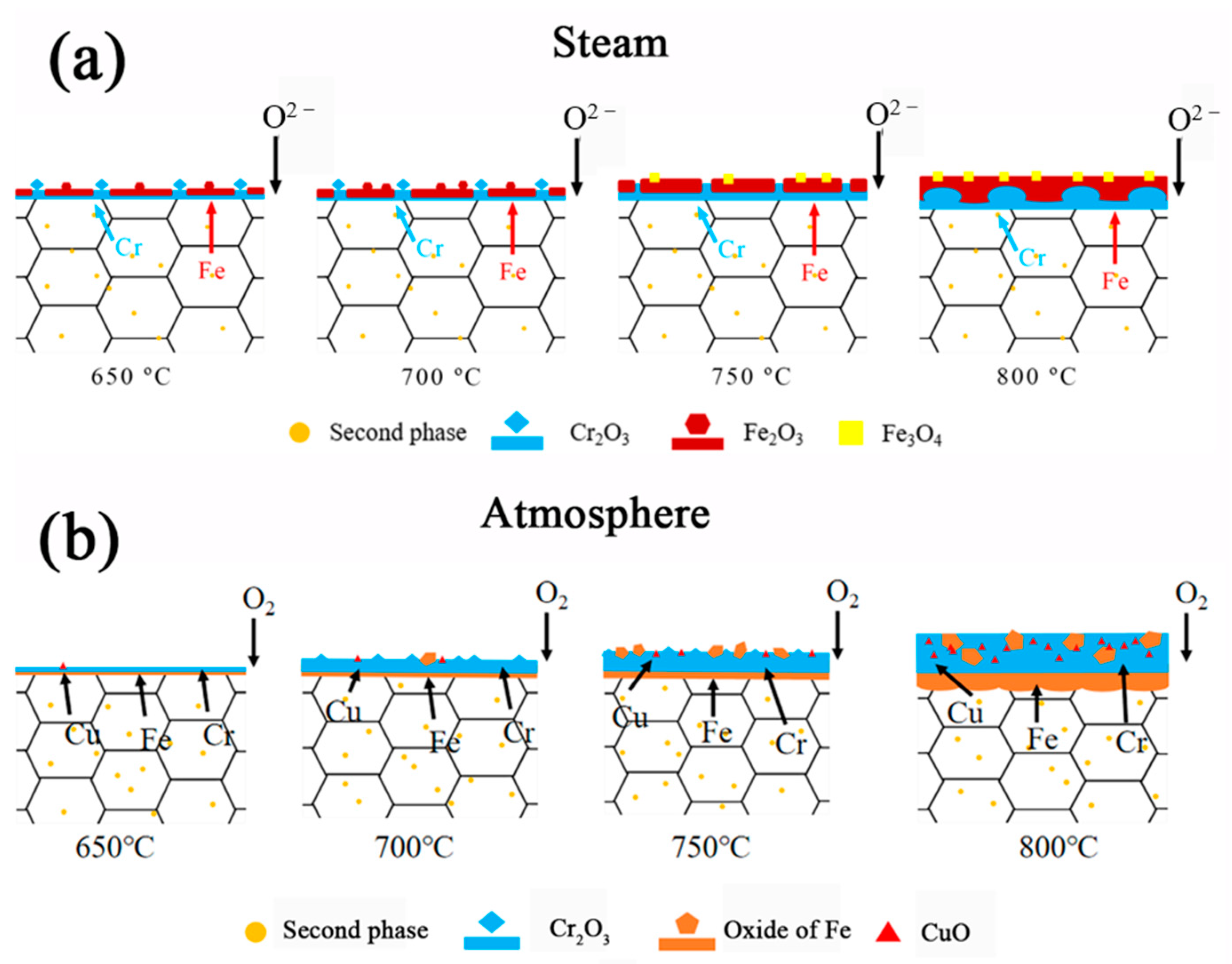Coatings 14 00194 g014