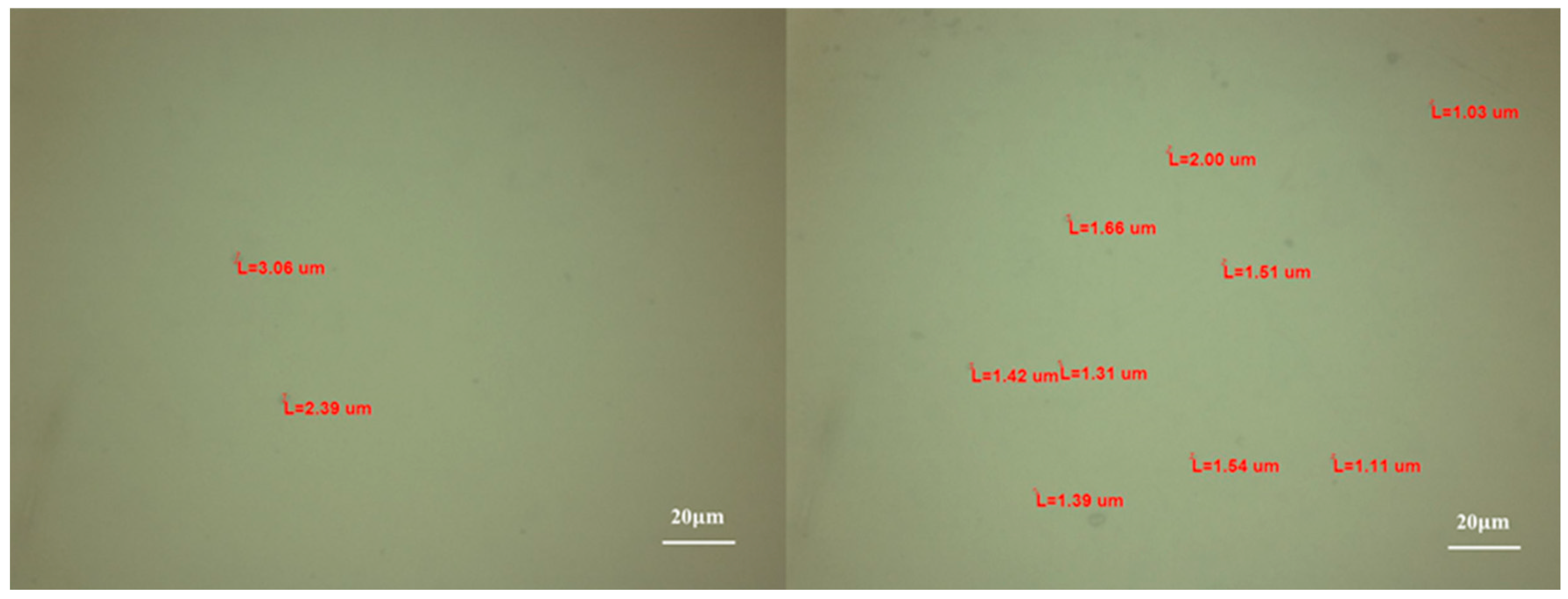 Coatings 14 00196 g004