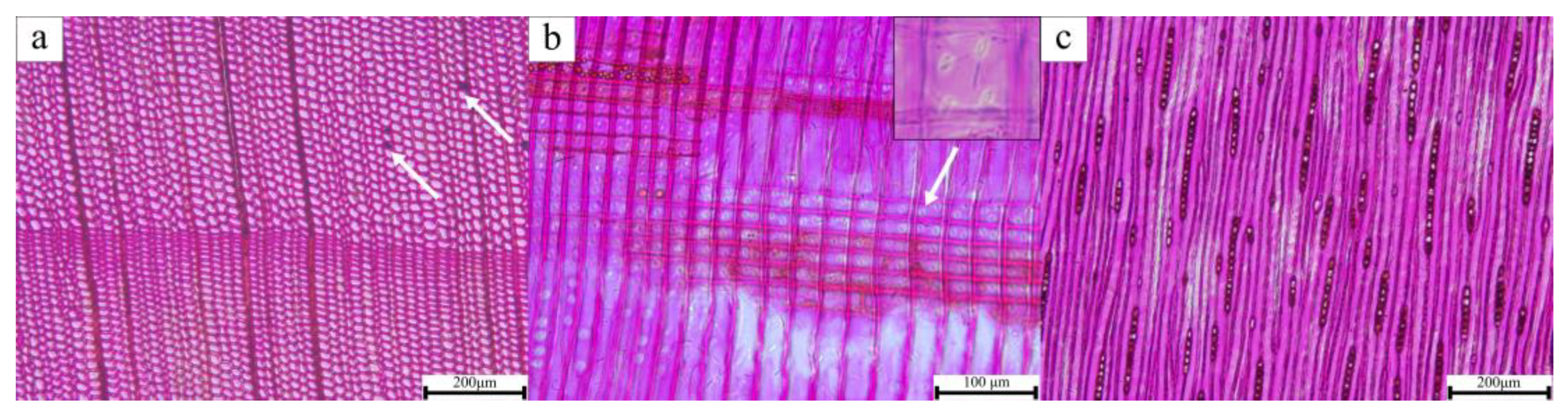 Coatings 14 00200 g002