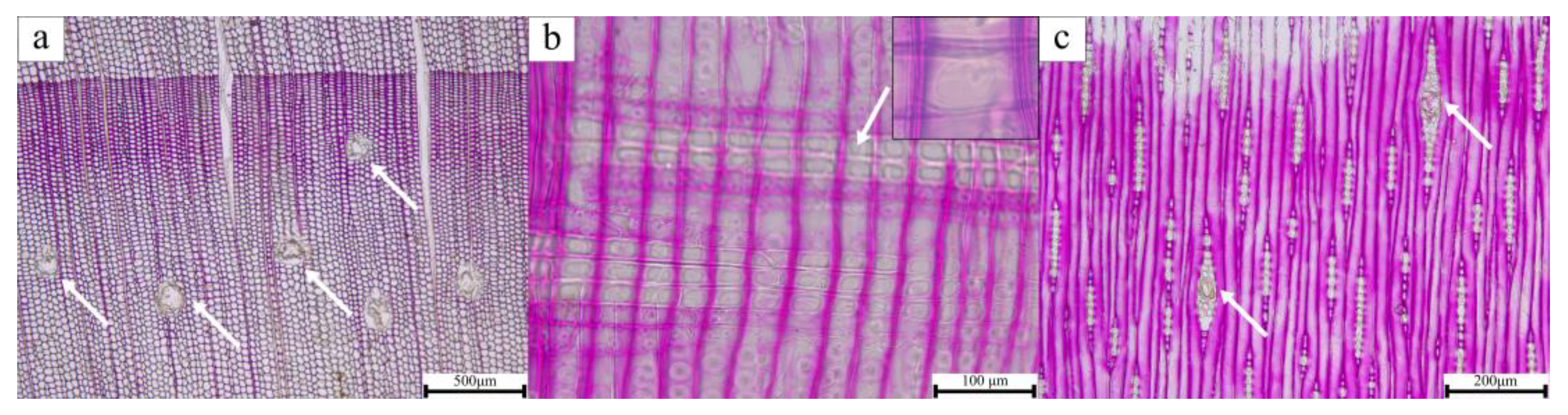 Coatings 14 00200 g003