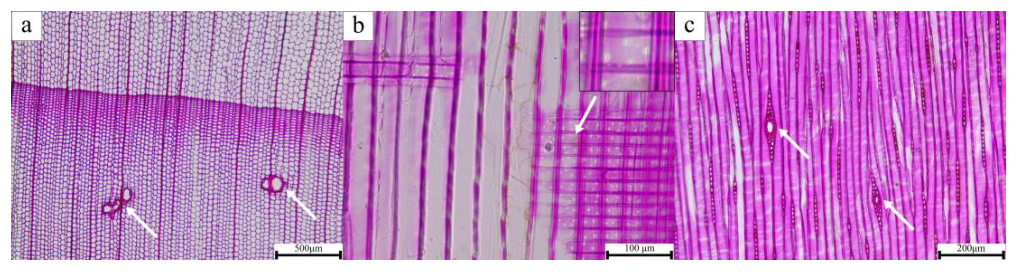 Coatings 14 00200 g007