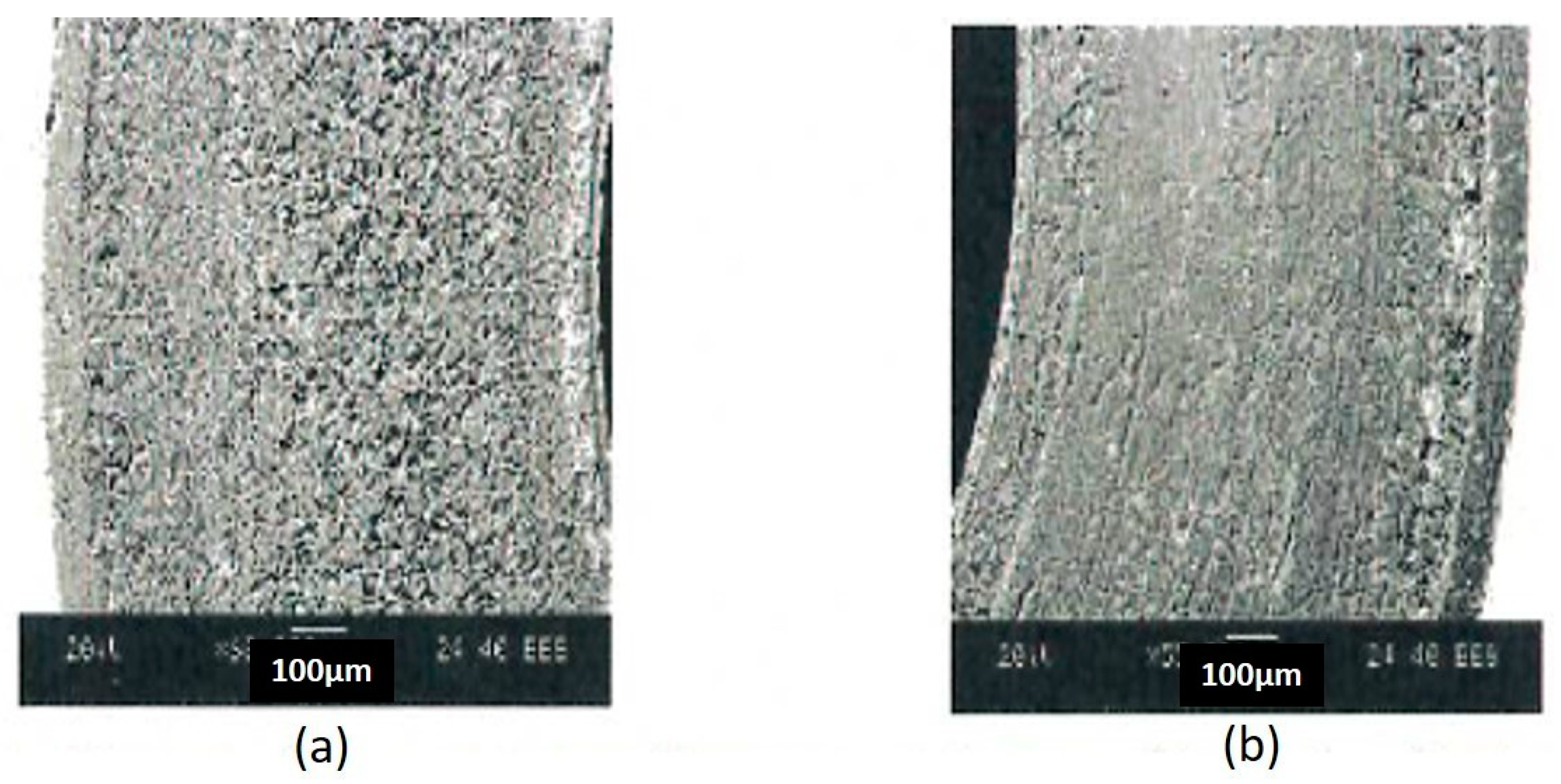 Coatings 14 00207 g011