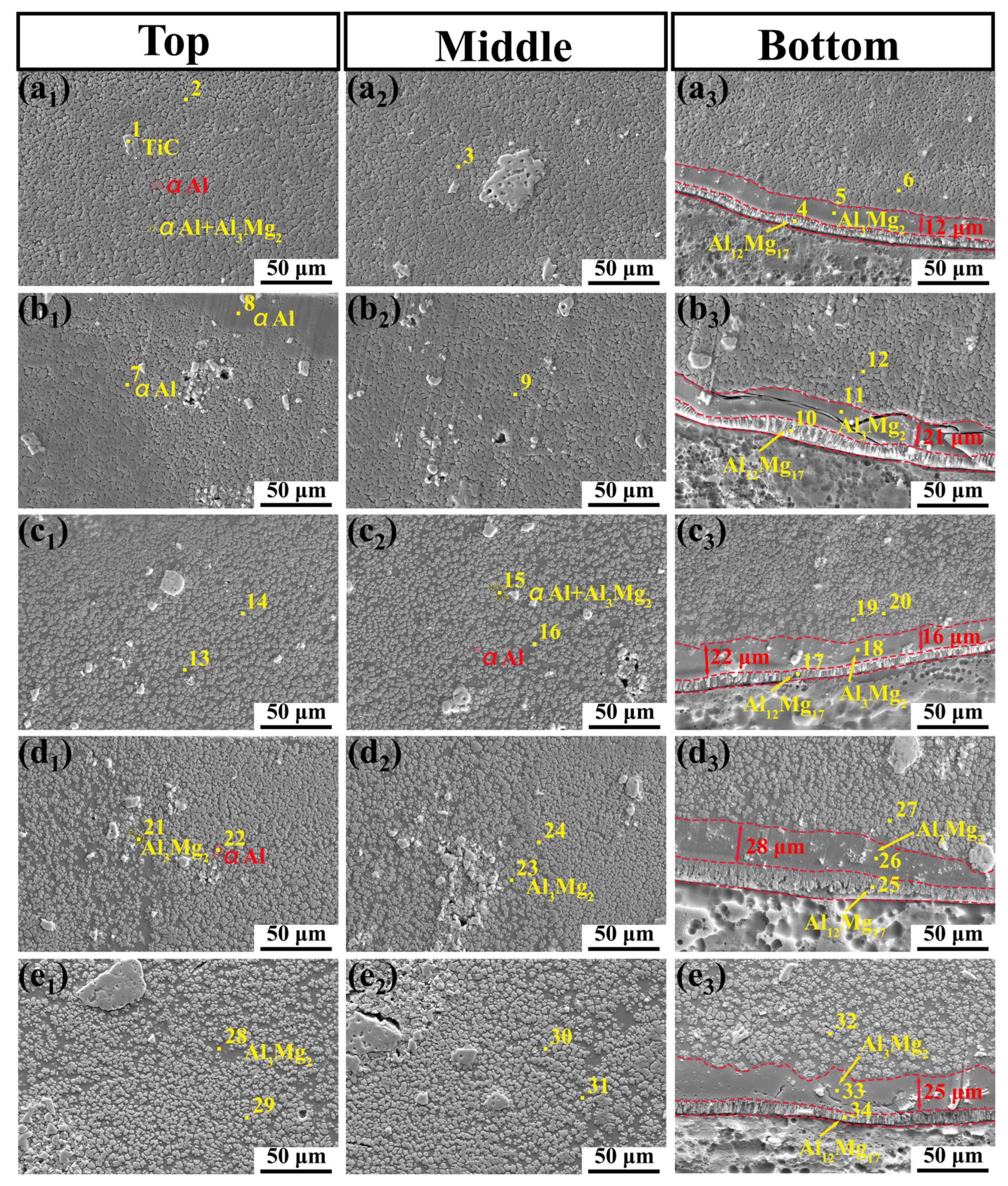Coatings 14 00211 g008