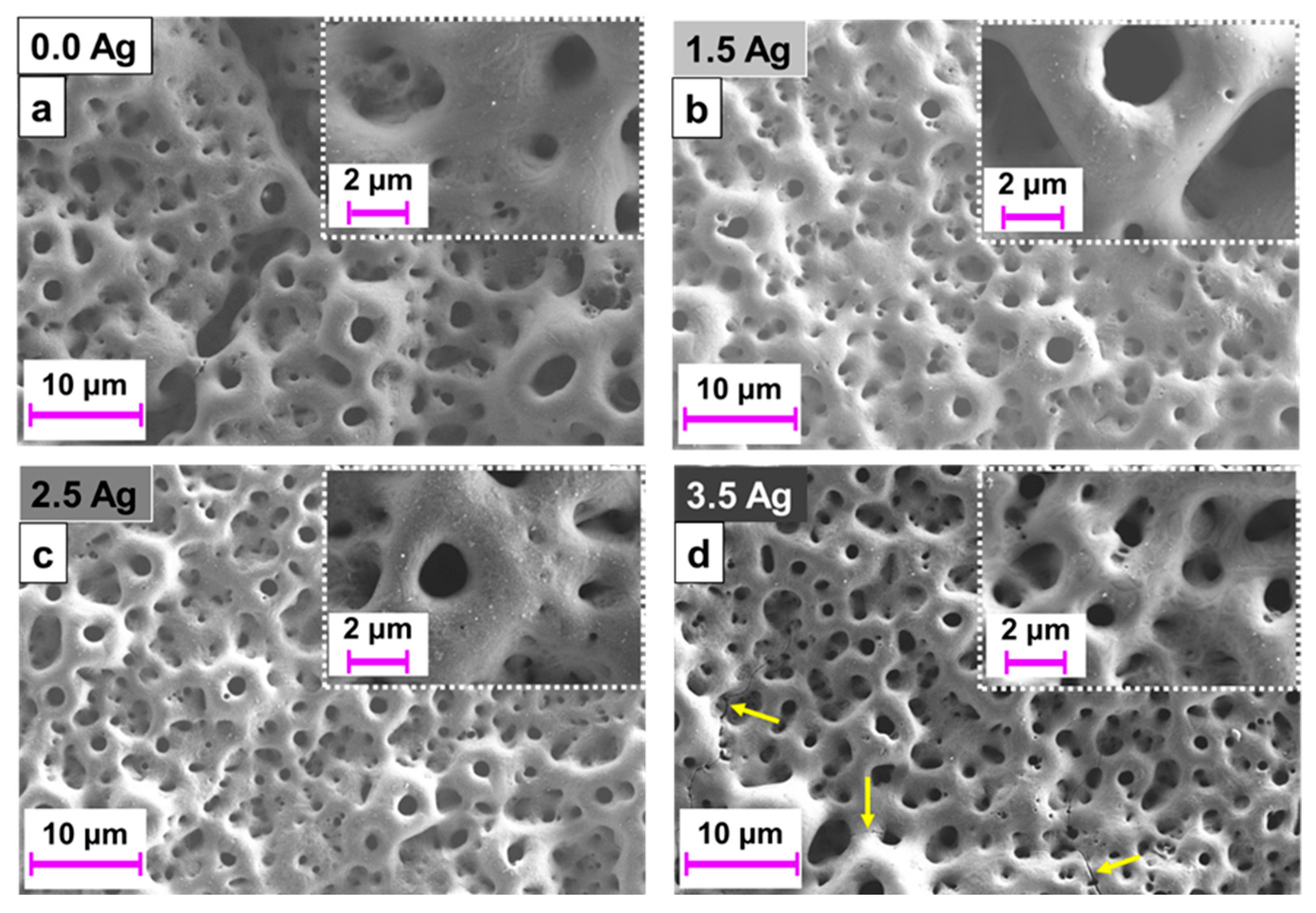 Coatings 14 00214 g002