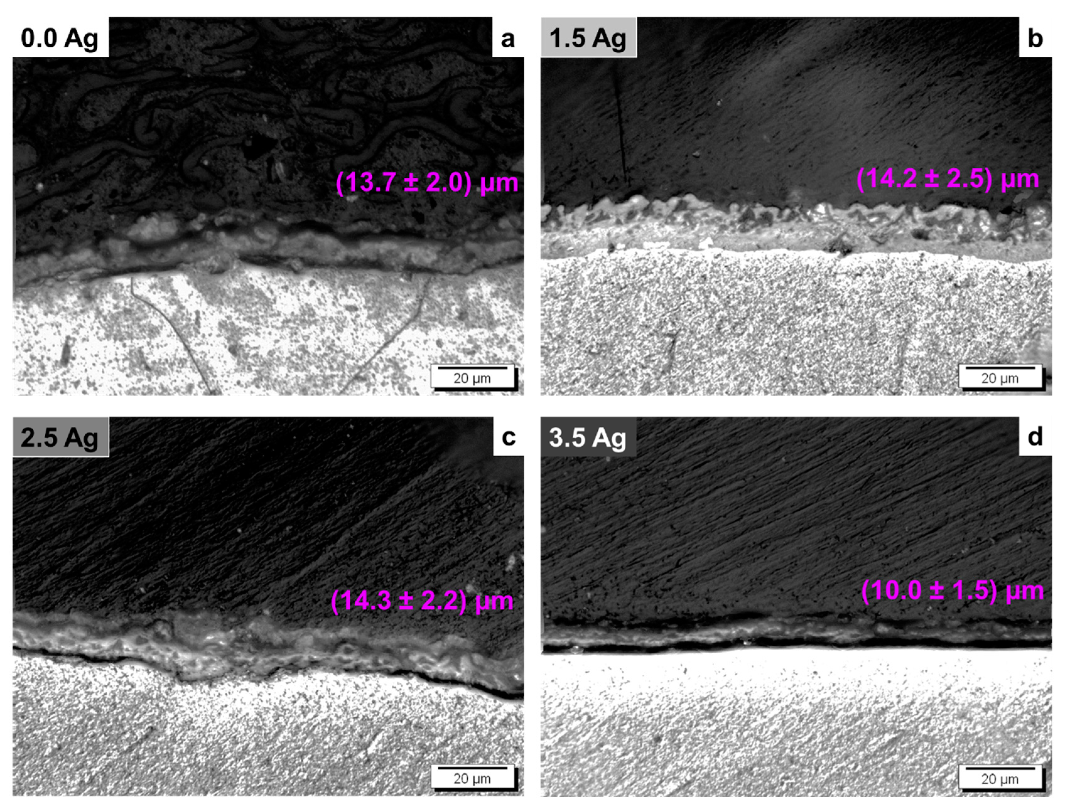 Coatings 14 00214 g006