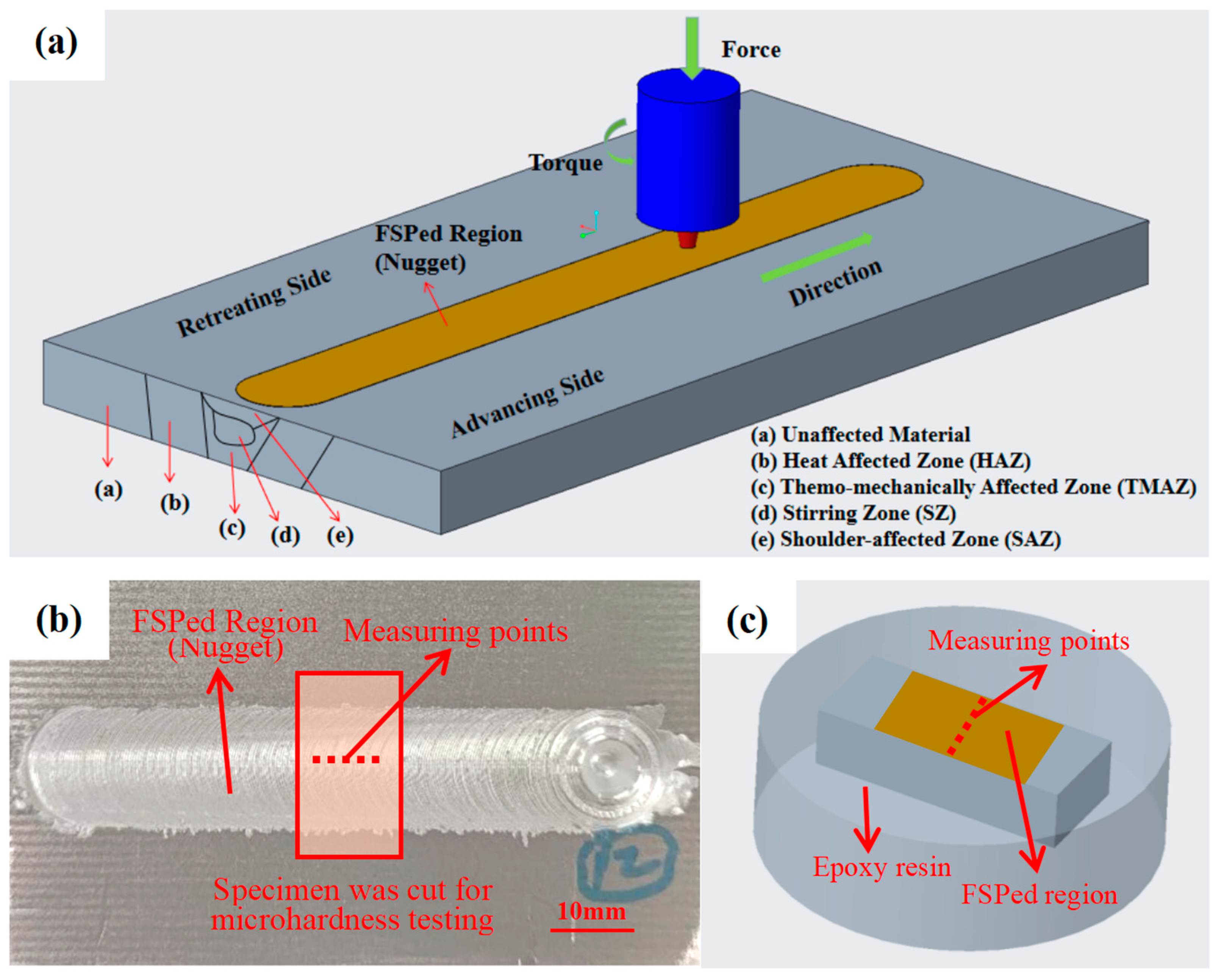 Coatings 14 00222 g003