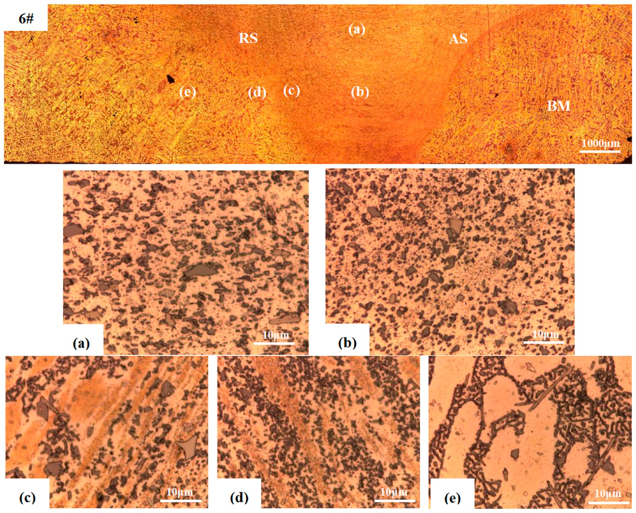Coatings 14 00222 g008