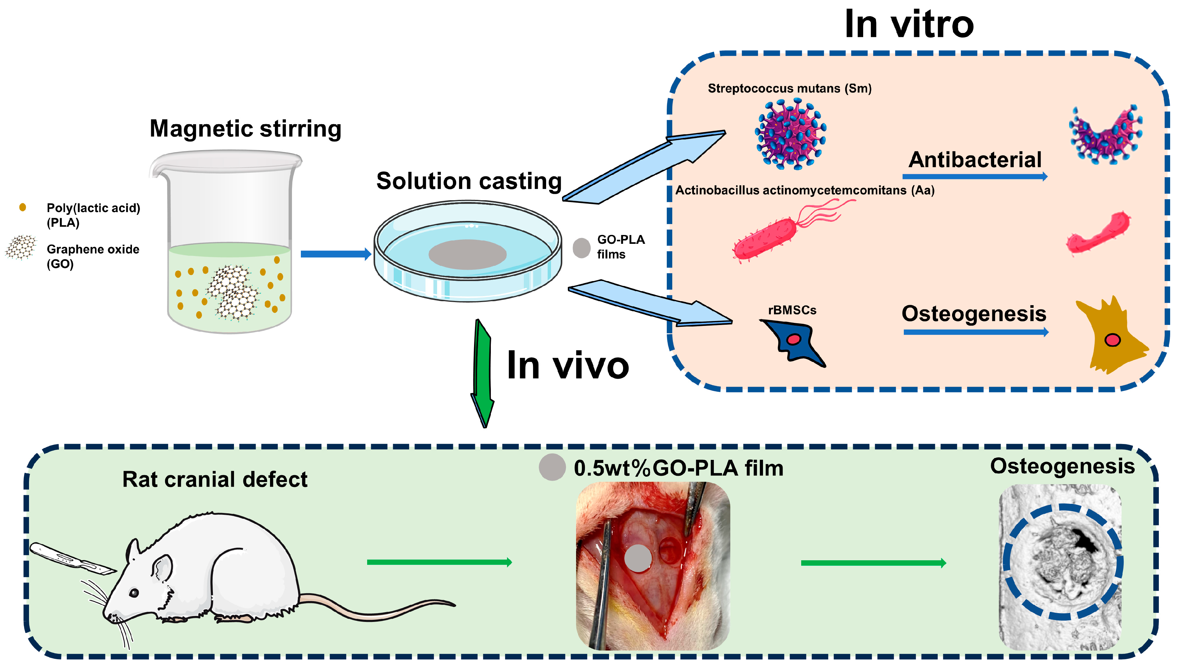 Coatings 14 00223 g001