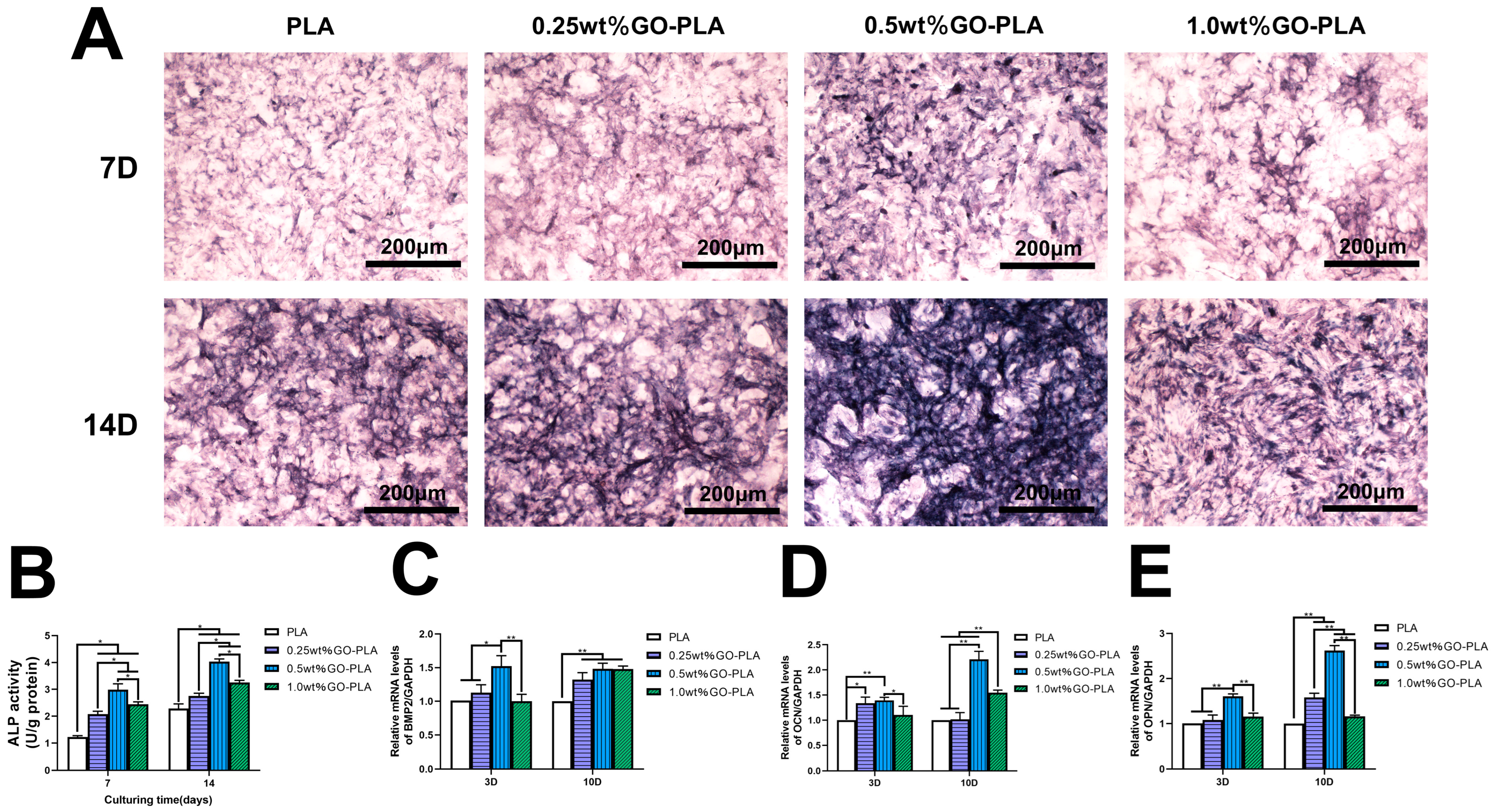 Coatings 14 00223 g004