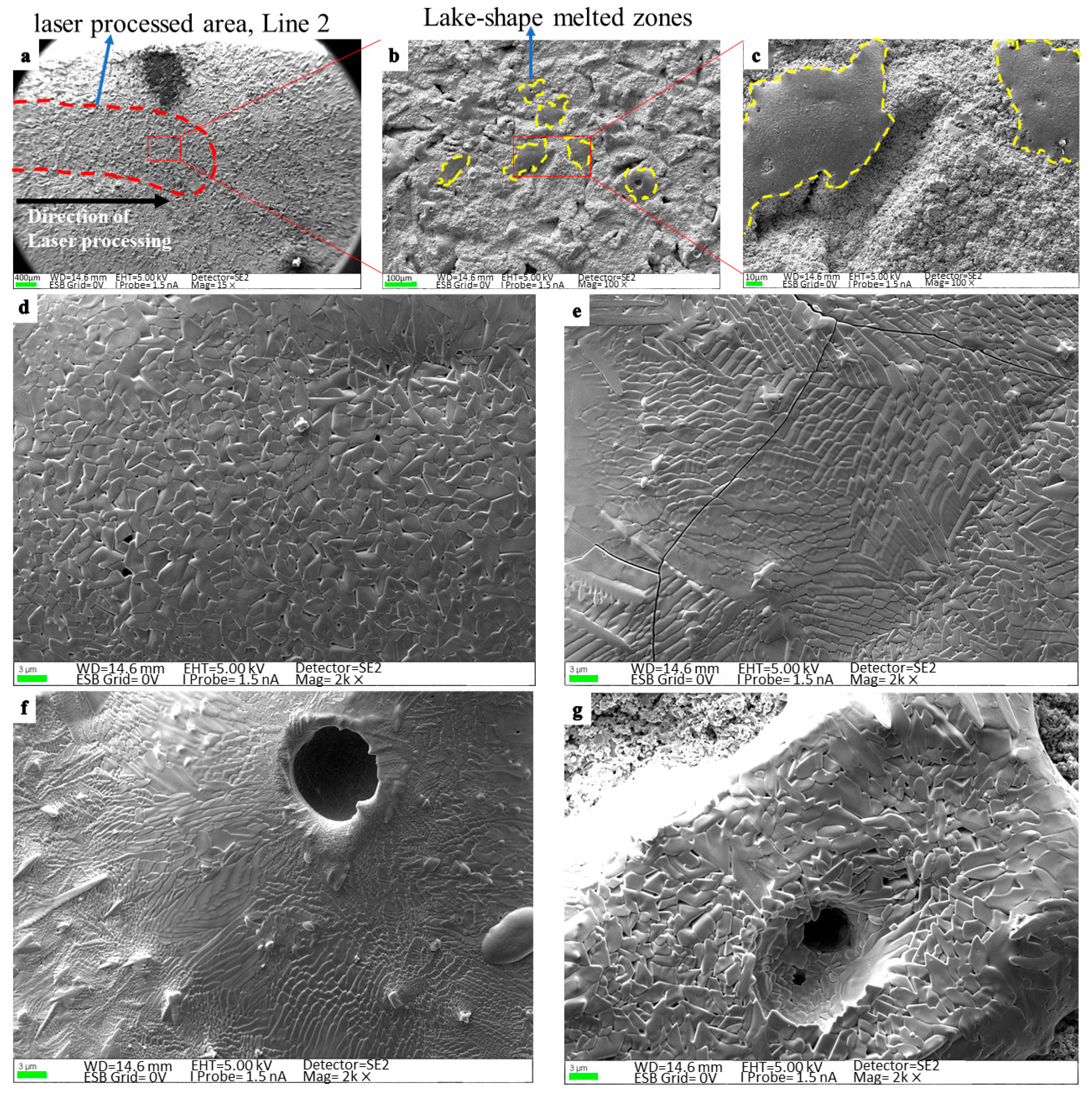 Coatings 14 00224 g007