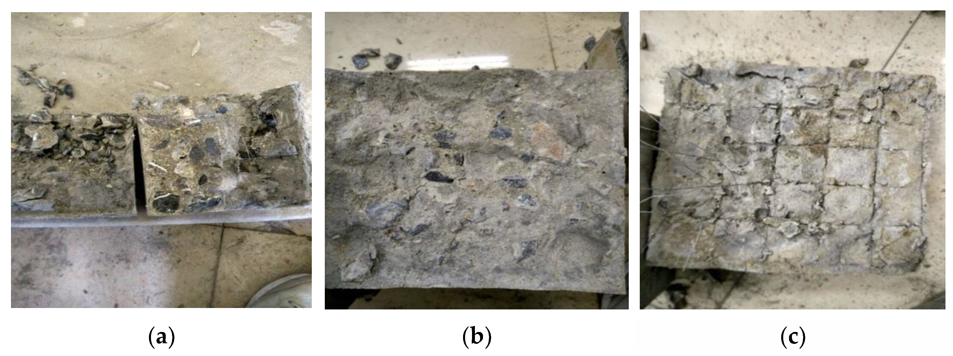 Coatings 14 00231 g006