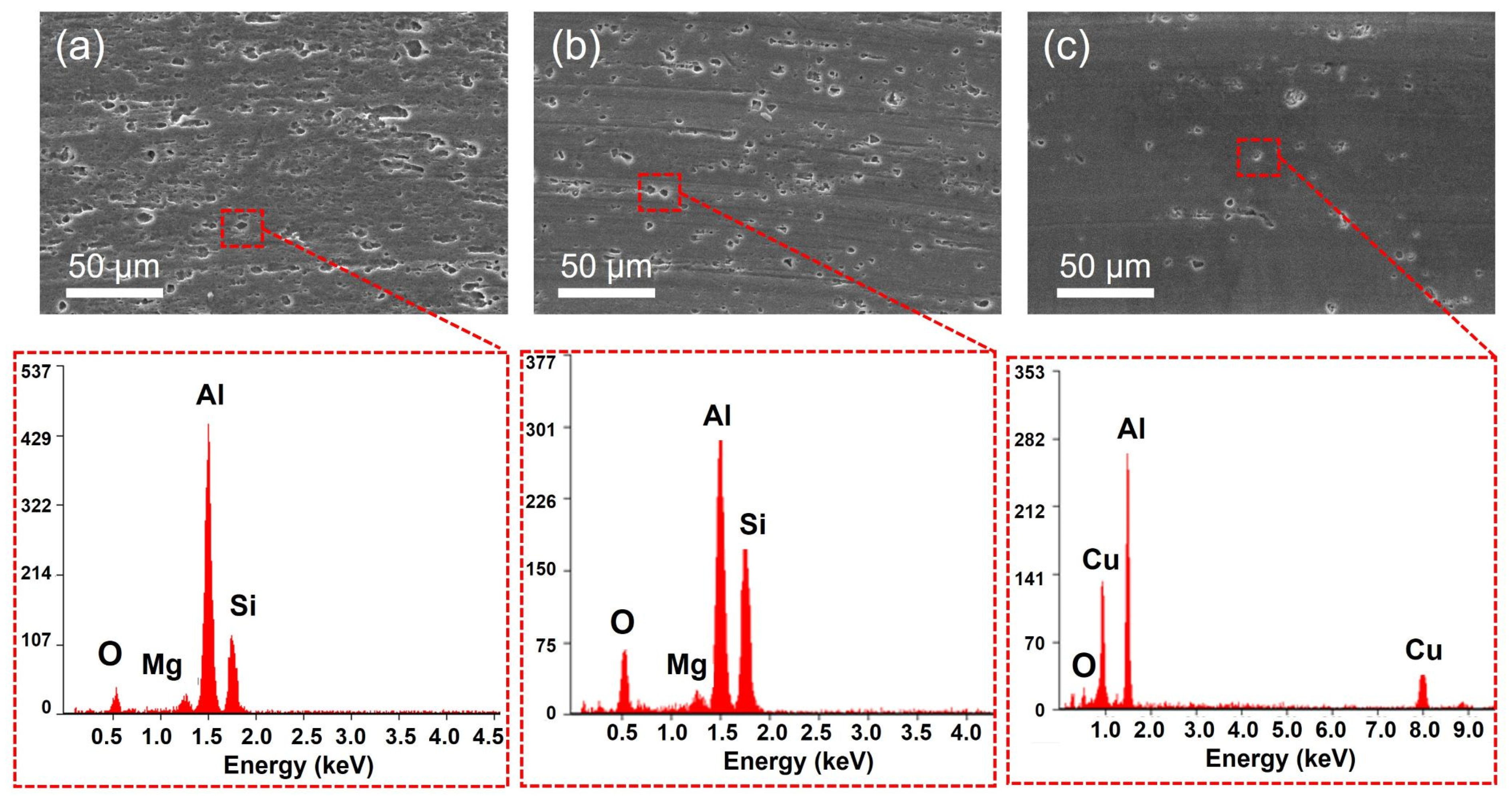 Coatings 14 00240 g001