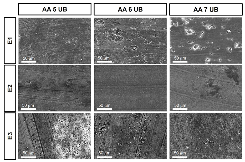 Coatings 14 00240 g007